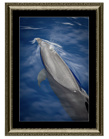 Screenshot 2024-11-05 at 9.21.41 AM.png