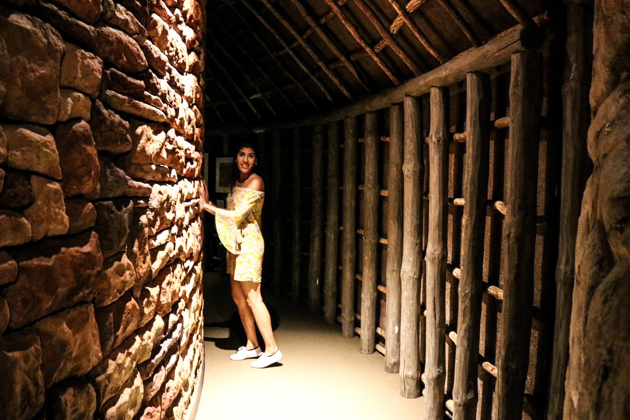 fields museum planeterium c.jpg