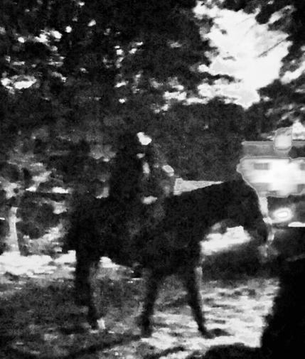 The best picture I could get of the Headless Horseman.