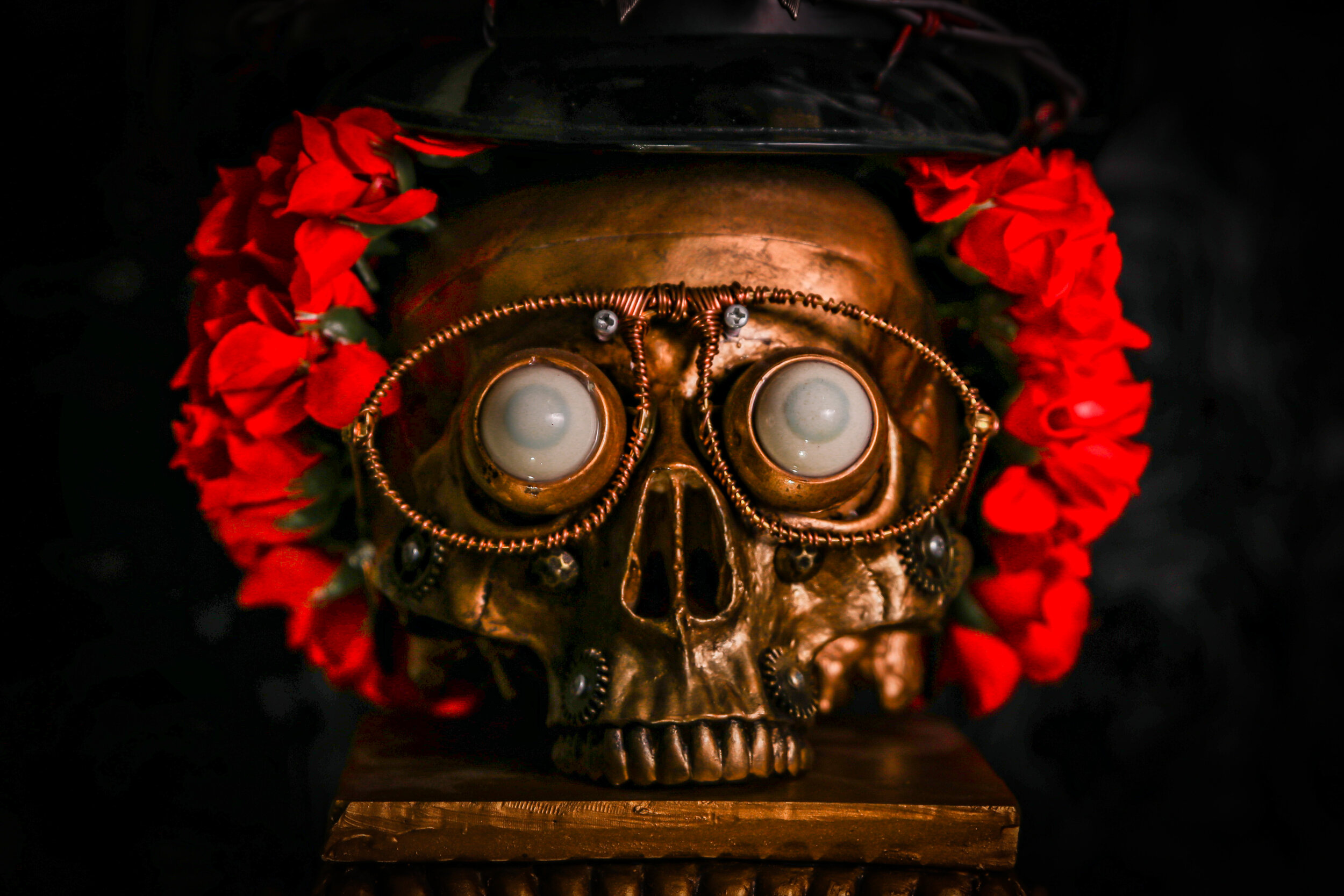 Aviator Close Up