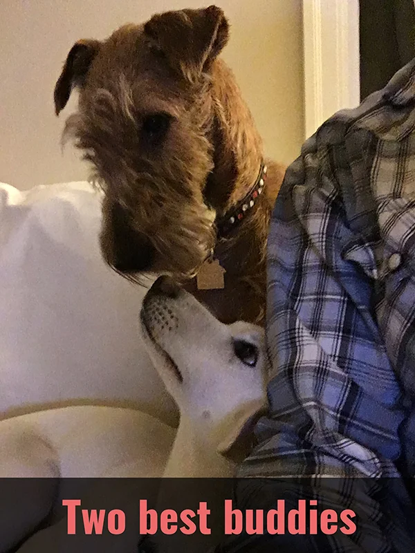 11 two best buddies IMG_0545 with text.jpg