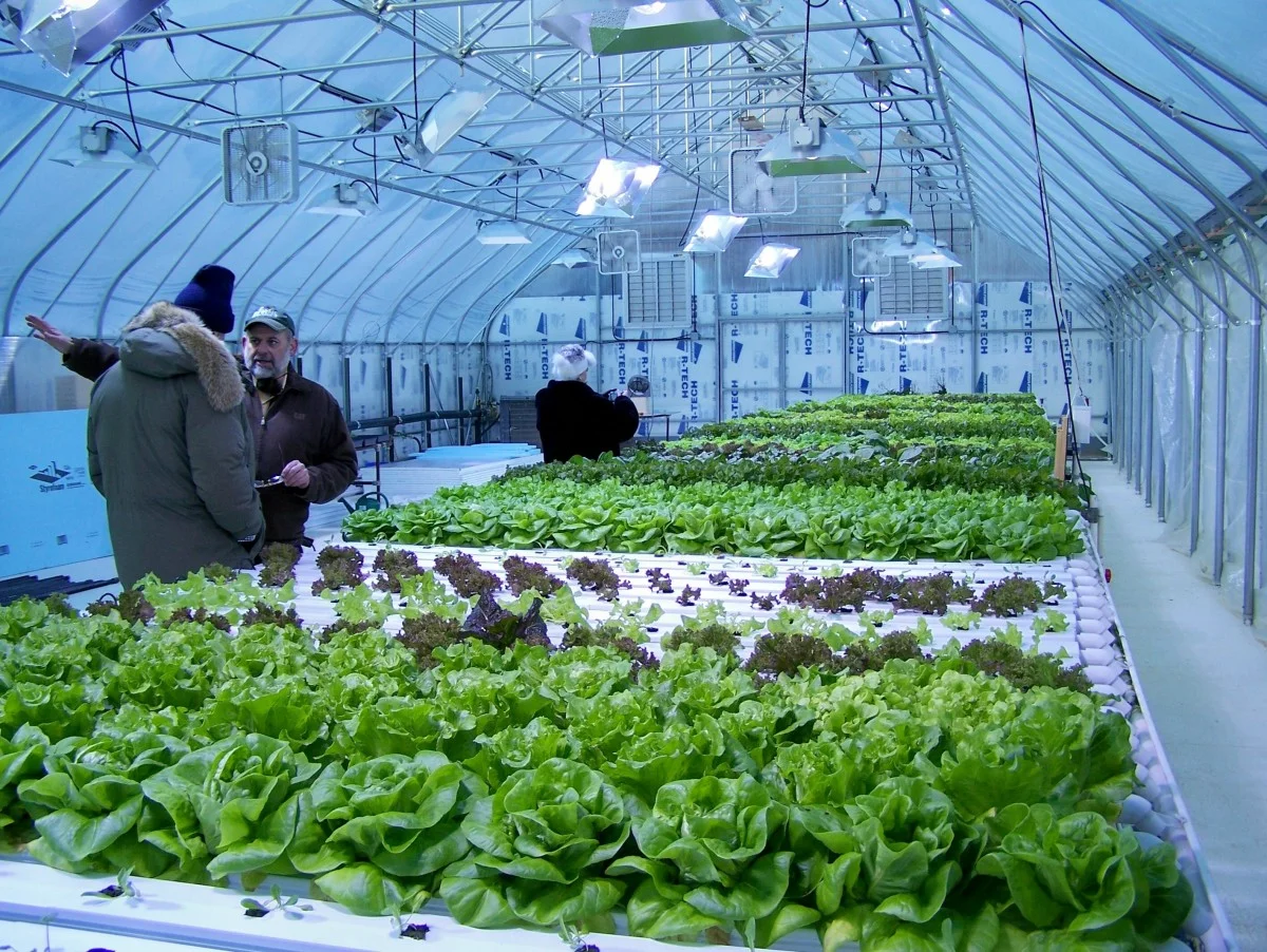 2in the greenhouse.jpg
