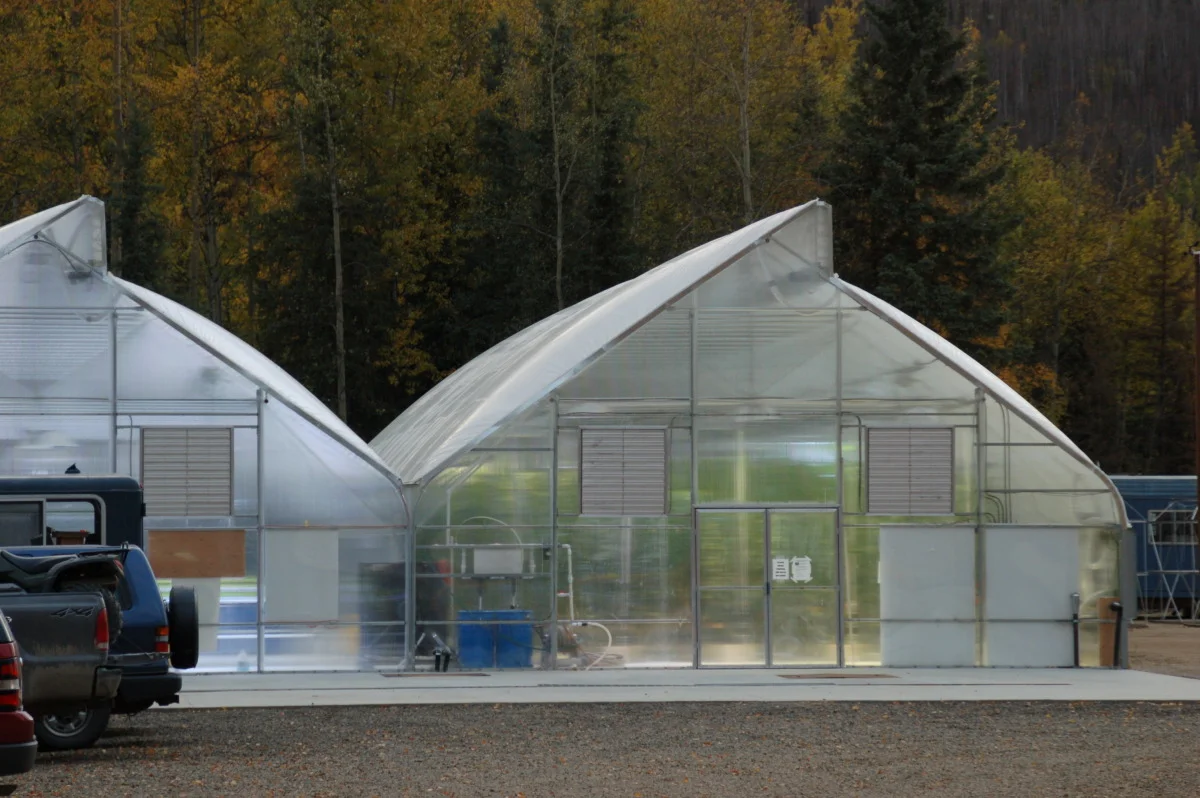 greenhouse tlea designs.jpg