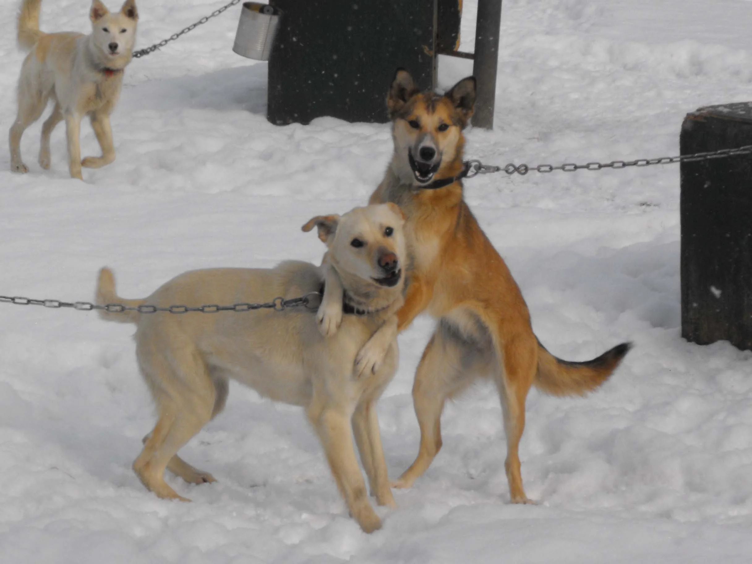 Best friends