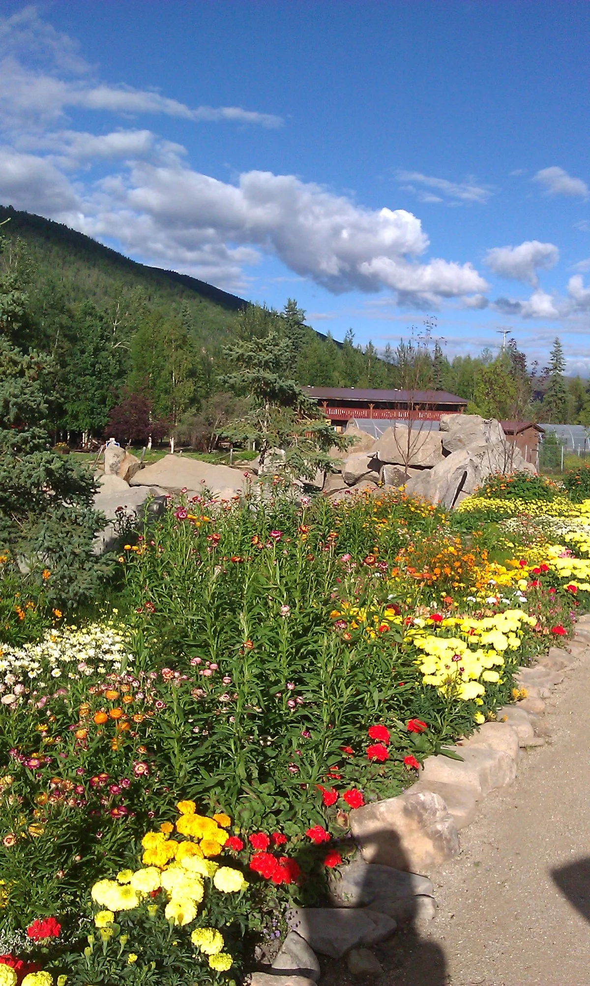 Chena Flowers
