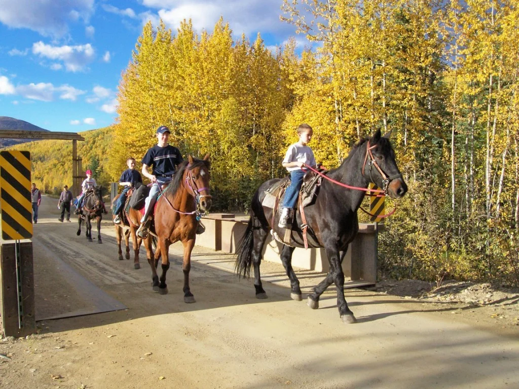 2boys on horses 2.jpg