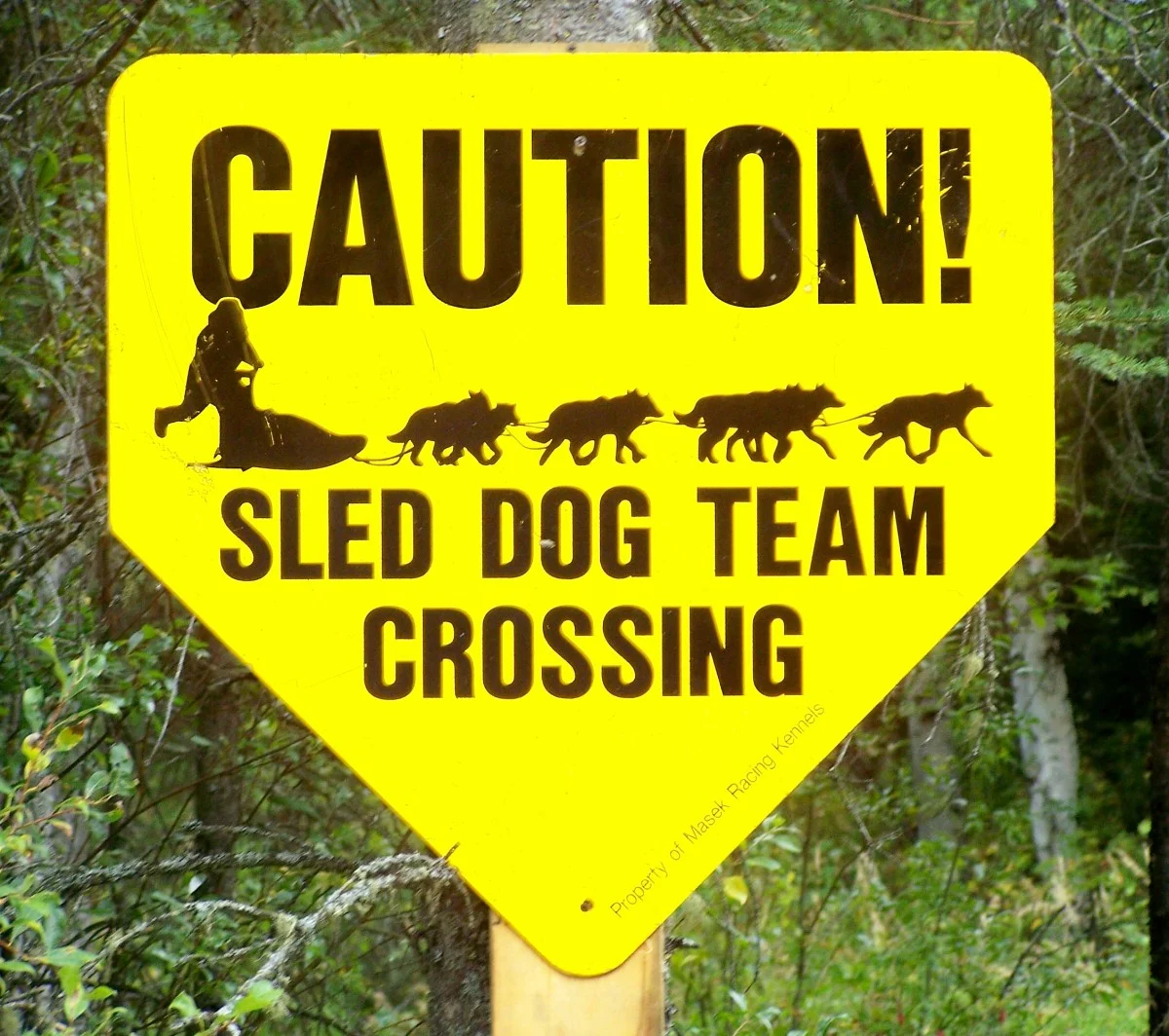 sled dog team crossing sign.jpg
