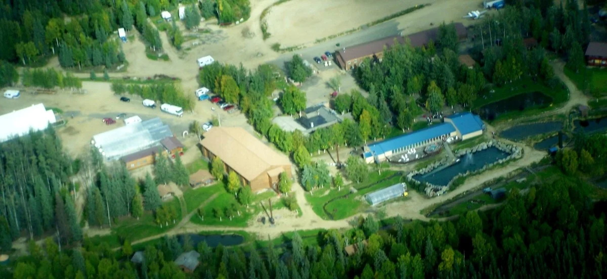 aerial moose lodge rock lake.jpg