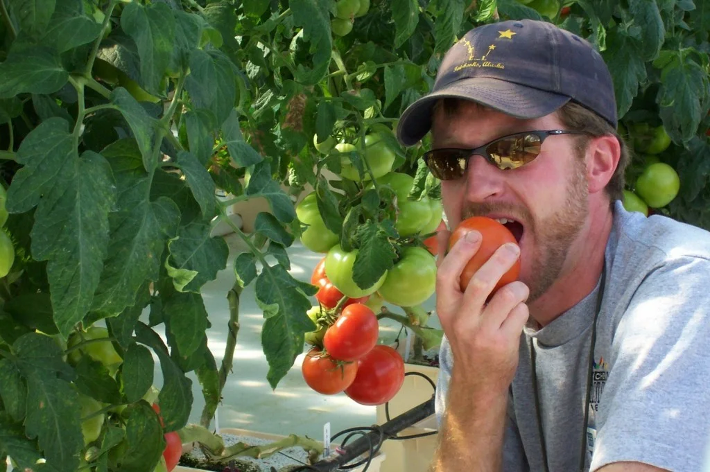 2eating fresh tomatoes.jpg