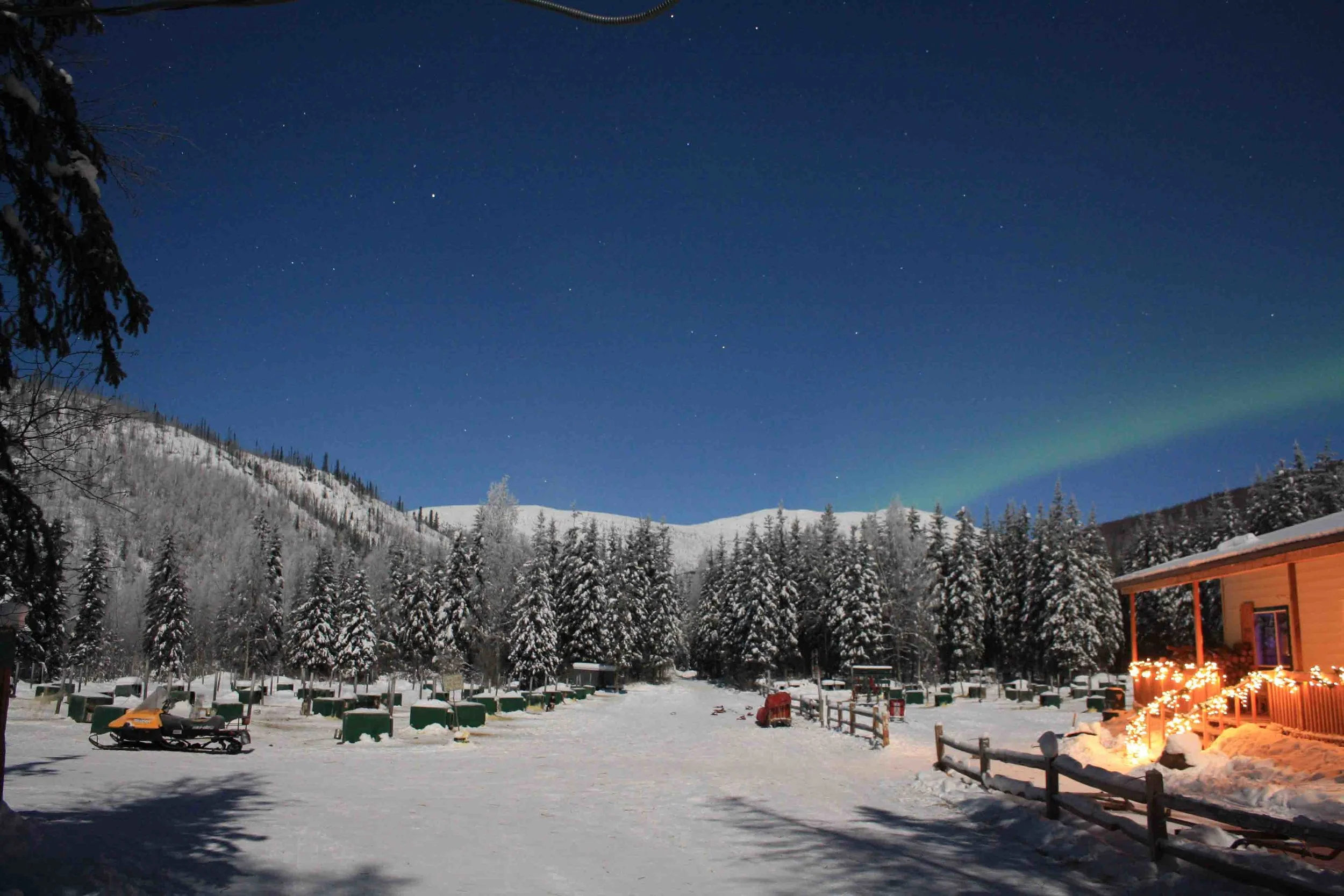 Aurora over dog yard