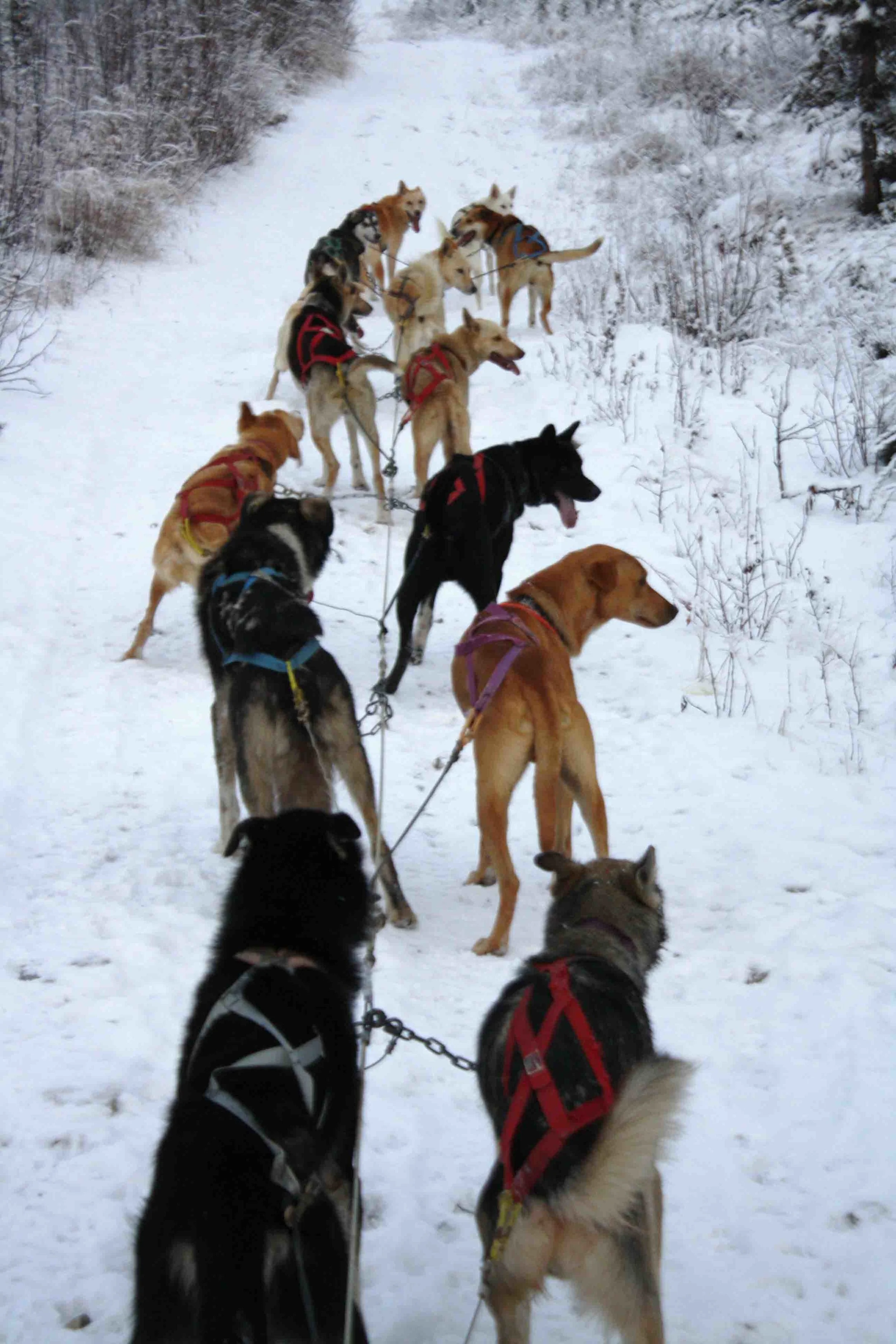 Fall training