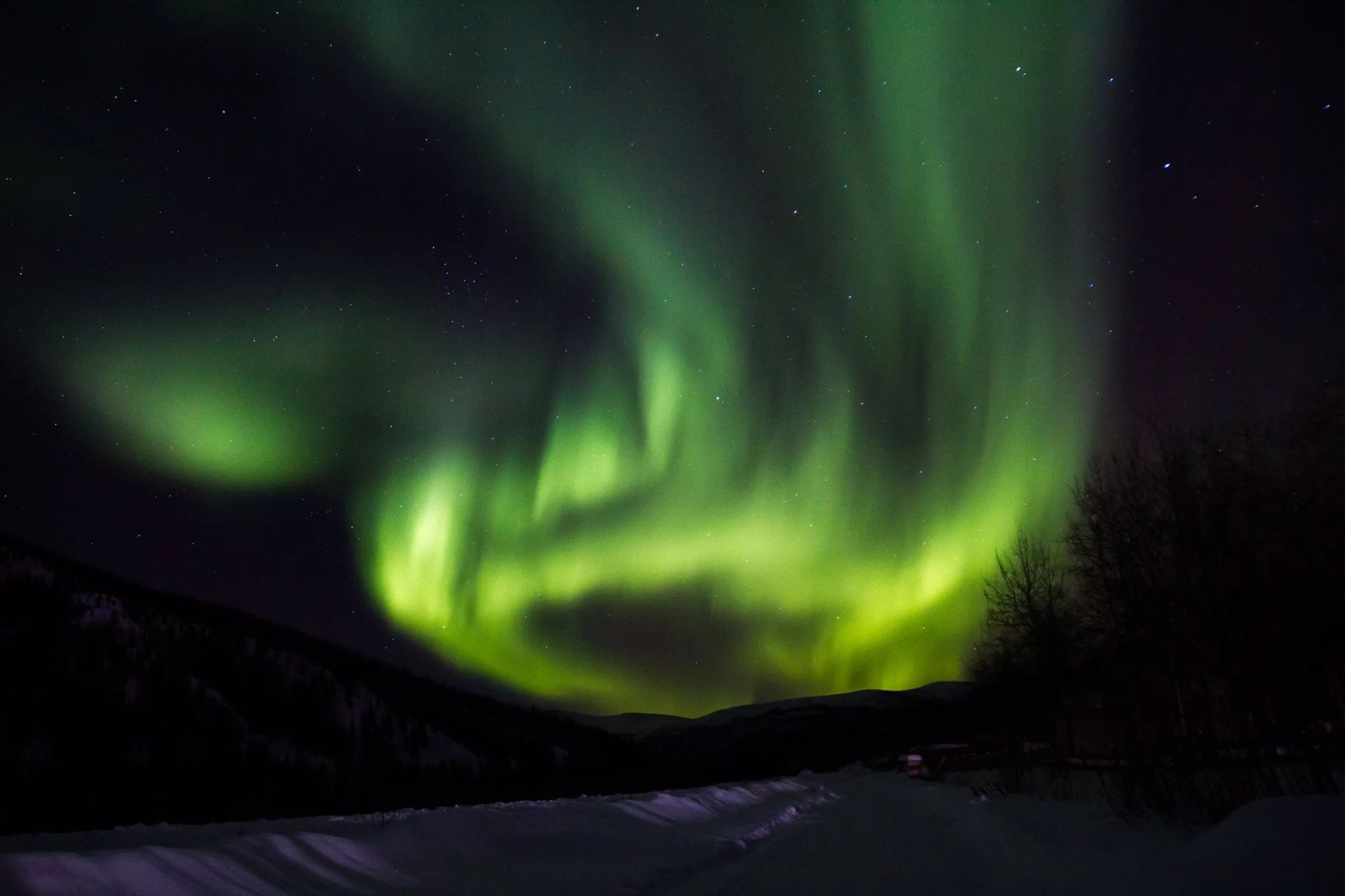 3Aurora 2-16.jpg