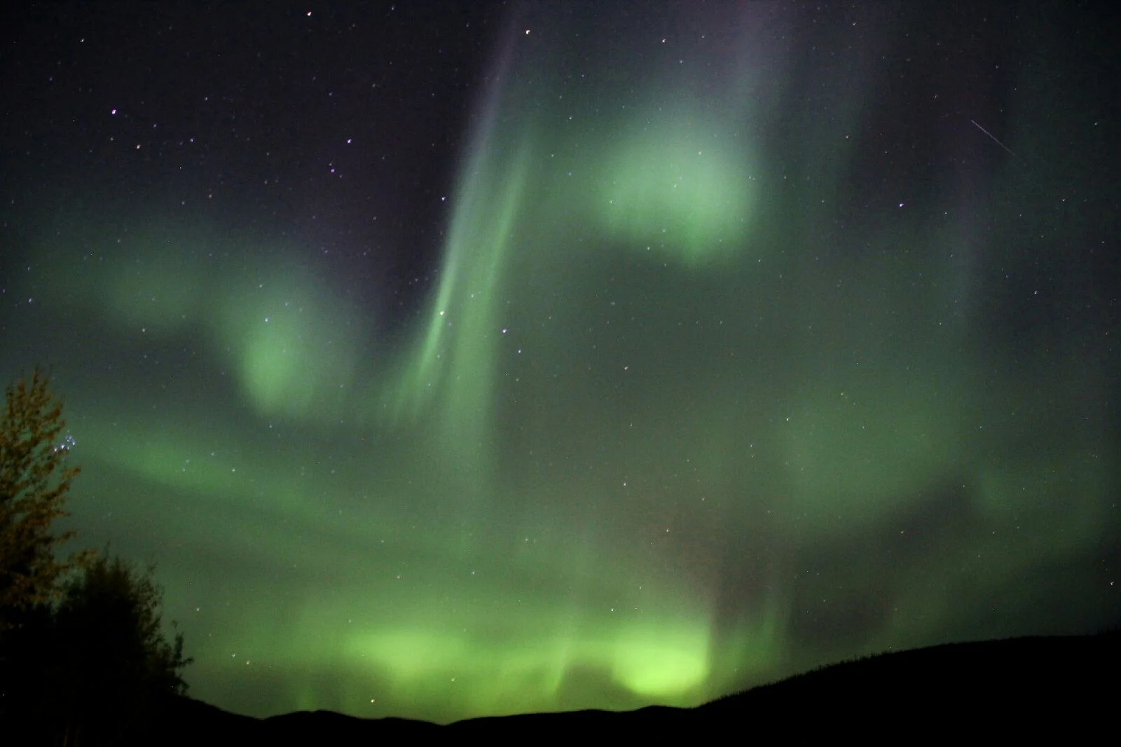 NICNorthernLight.jpg