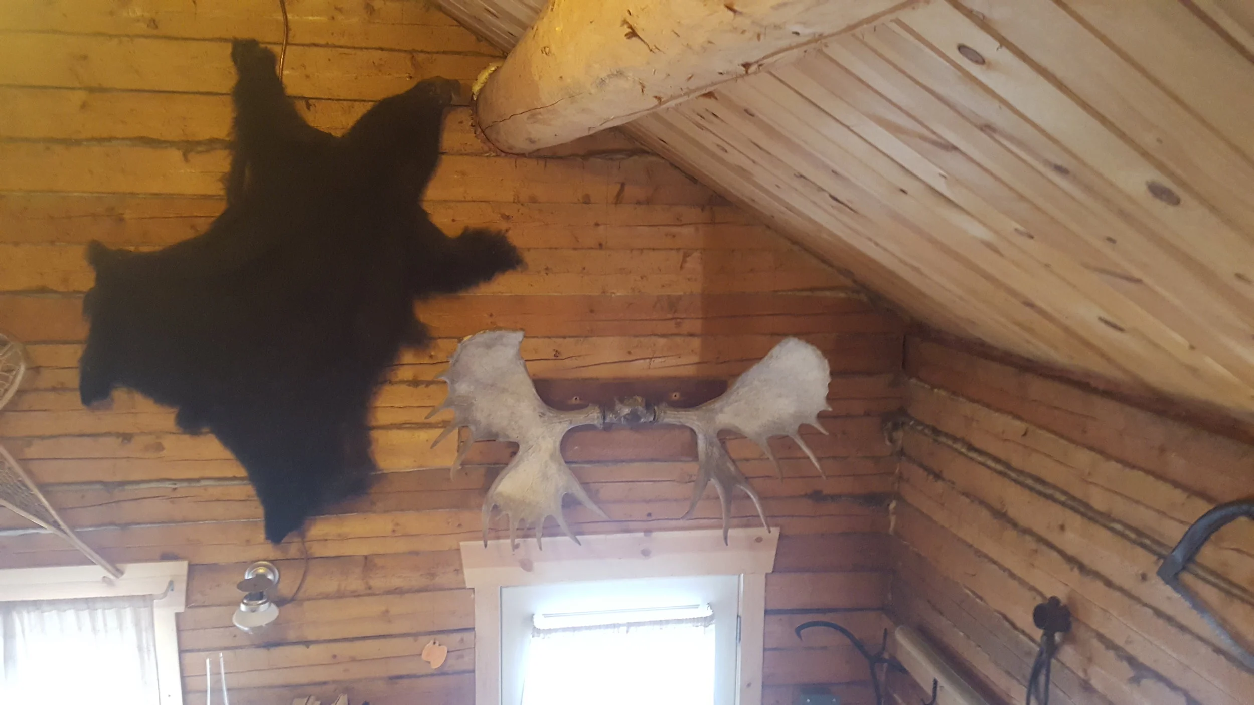 Ptarmigan Wall.jpg
