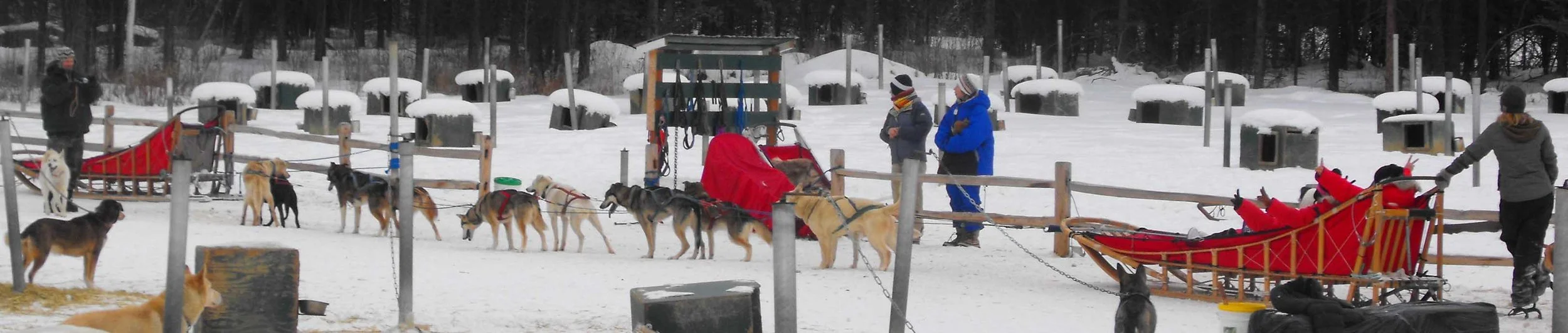 picture+long+sled.jpg