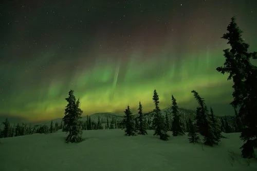 Northern Lights Tour..jpg