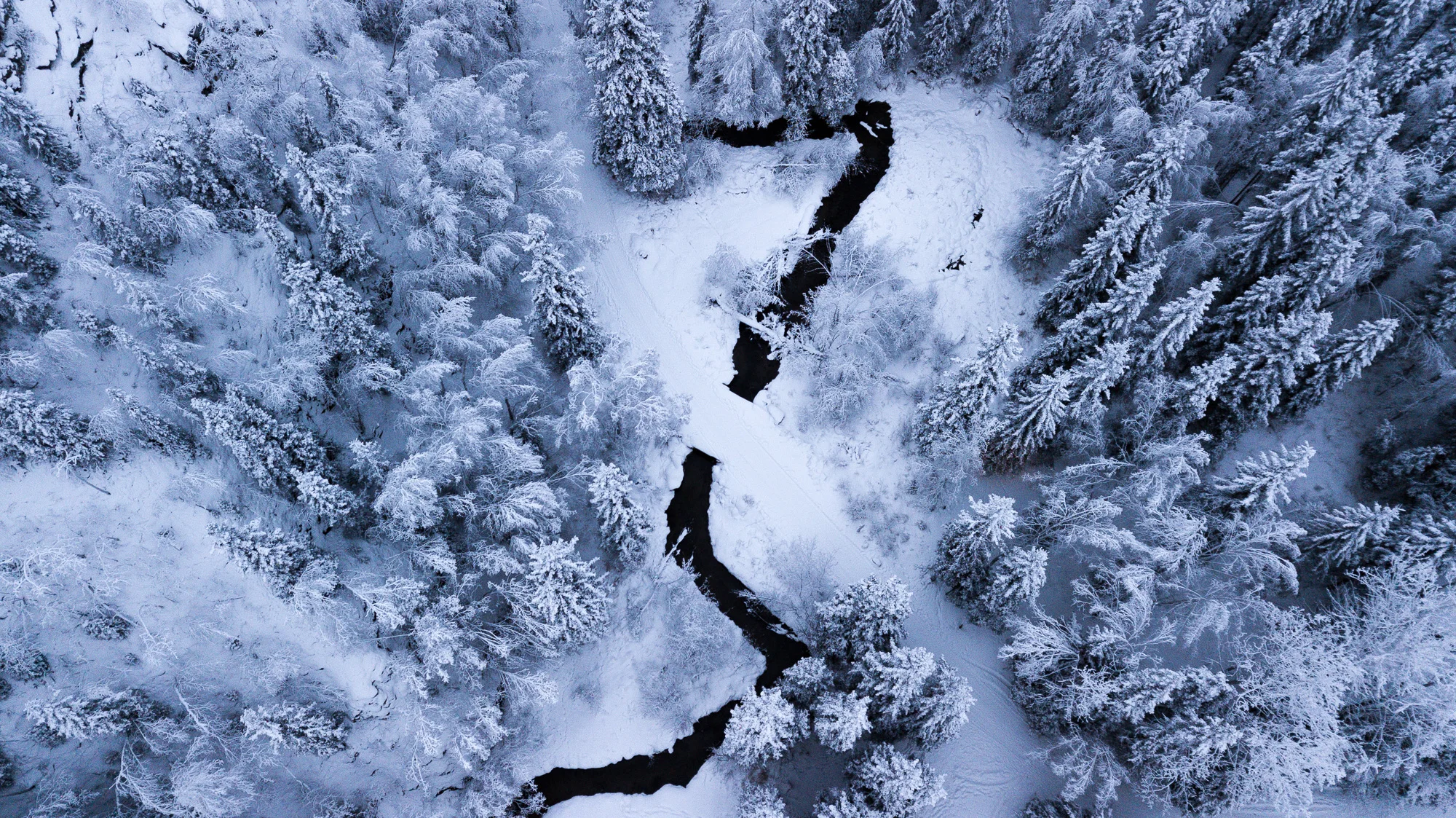 20181206_ChenaHotSprings_DJI_0018FC2201-25 sec at f - 2.2.jpg