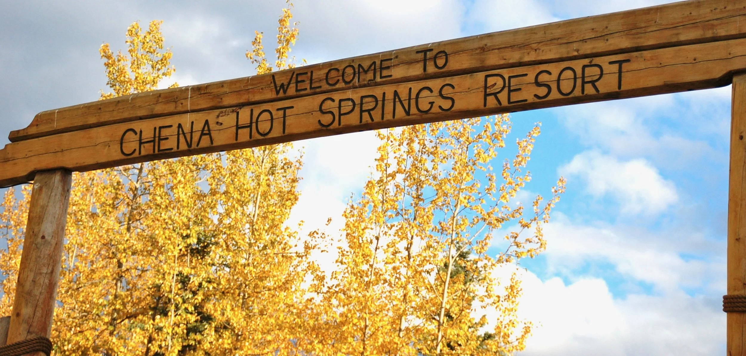 close up of welcome arch sign tlea designs 2.jpeg