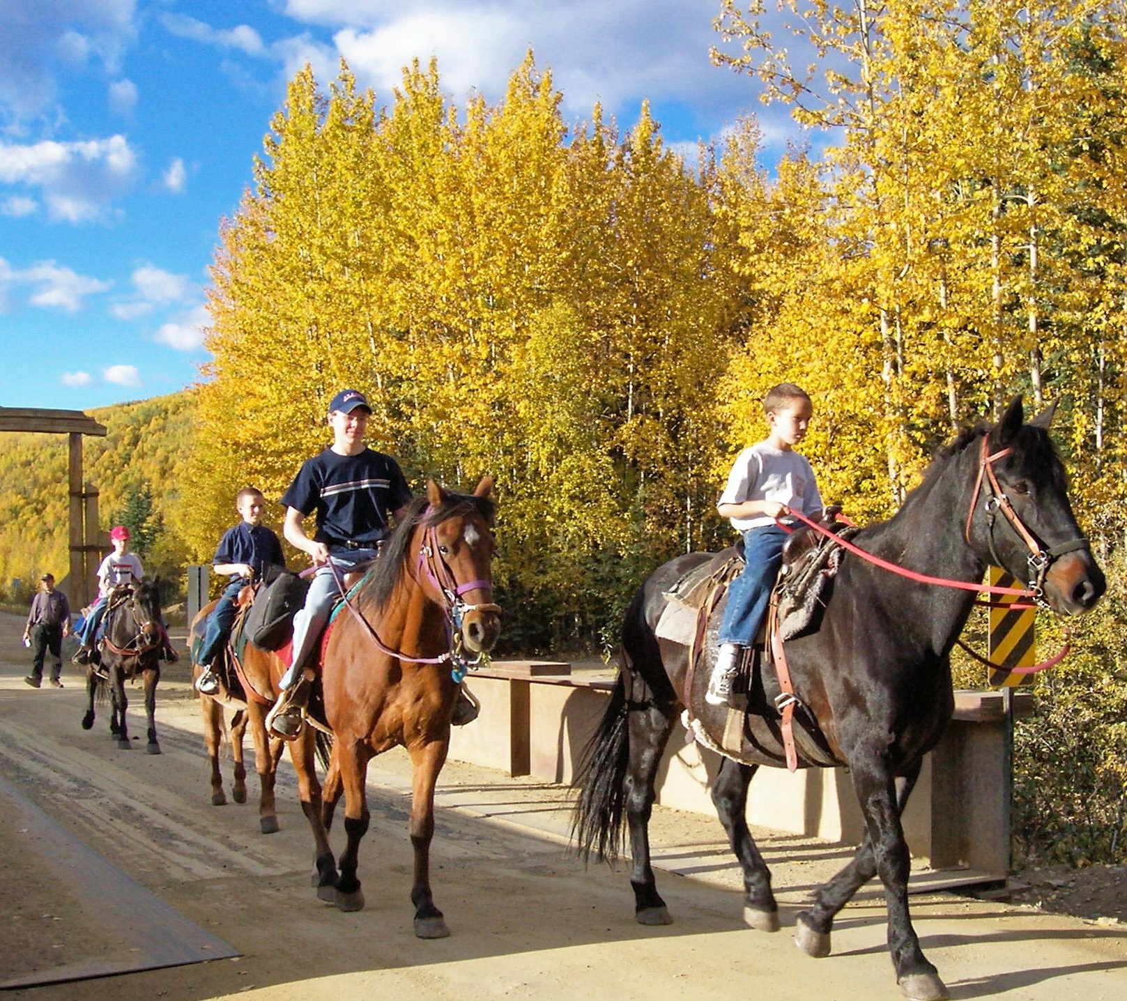 boys on horses on bridge (2).jpeg
