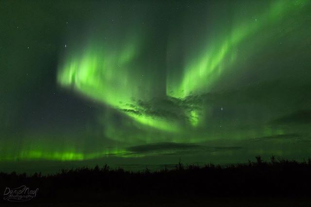 Auroras blazing through the sky 🌌 ✨ 📸⠀
Reposting @dlnphotos————————————————————————⠀
#astrophotography #scenery #aurora #northernlights #photoshop #photoshoot #lightroom #alaska #fairbanks #fairbanksalaska #explorefairbanks #night #nightsky #star #stars #winter #travelphotography #auroraborealis #auroraboreal #auroraboreale #snow #snowdays #ice #cold