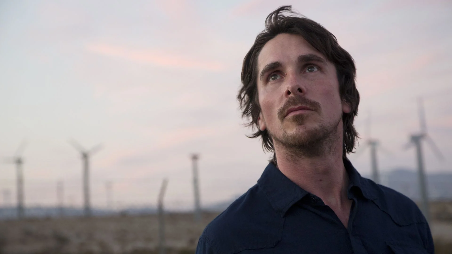Knight of Cups