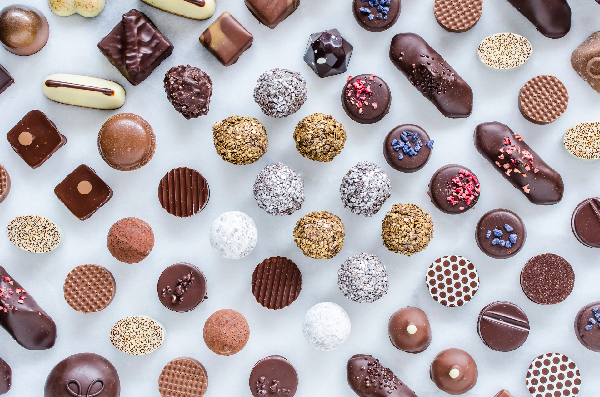 Truffles_group-2.jpg