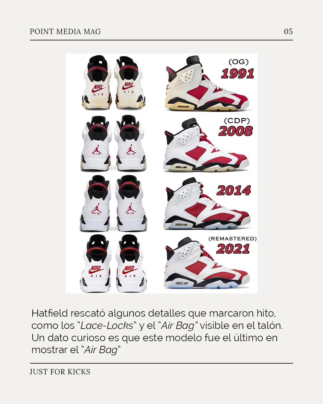 The Air Jordan 6 \