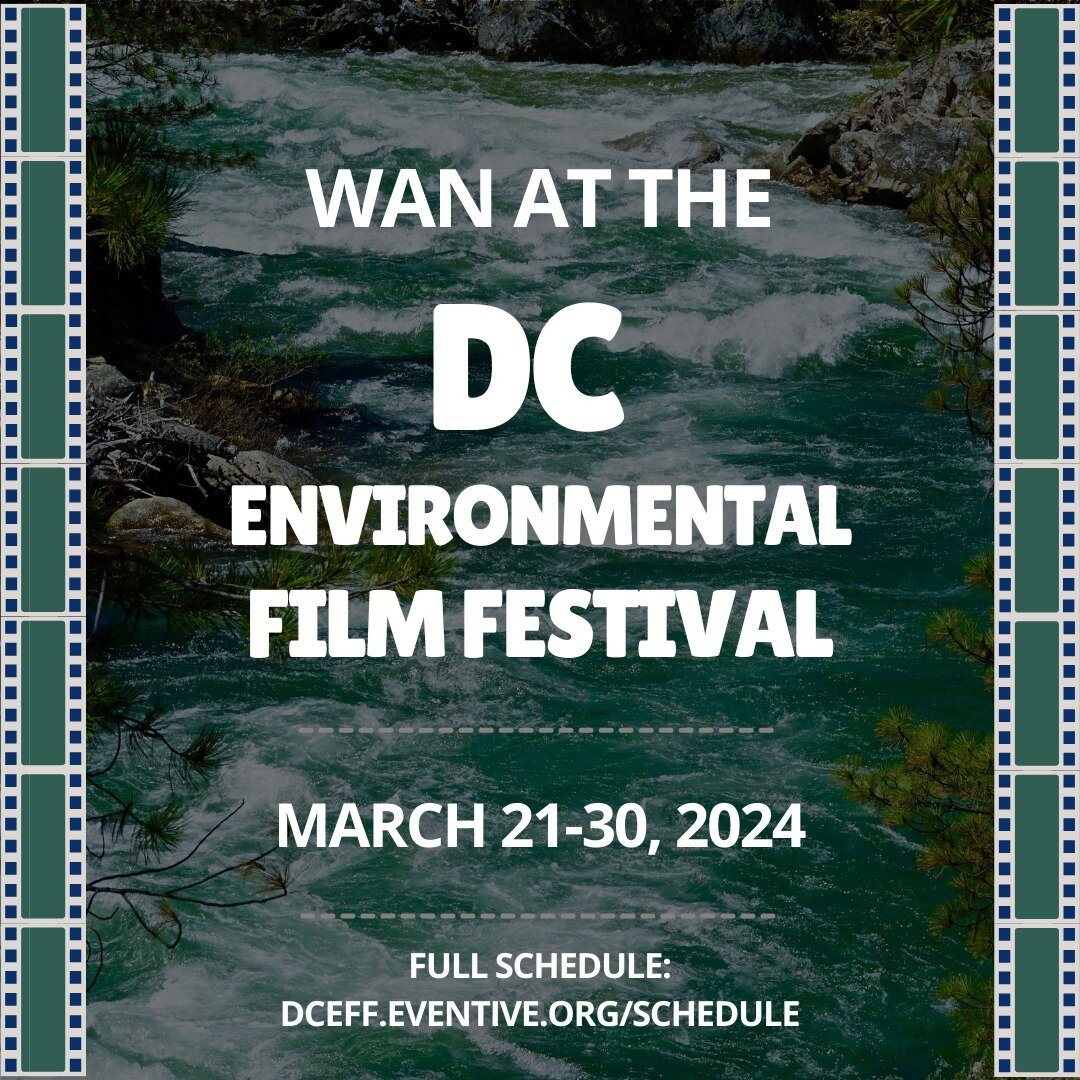 Catch the Women's Aquatic Network at the movies at this year&rsquo;s @dceff_org! 

Check out some of the aquatic films on our watch list: bit.ly/48V8FtY

Explore the full #DCEFF schedule: dceff.eventive.org/schedule

#environmentalfilmfestival #aquat