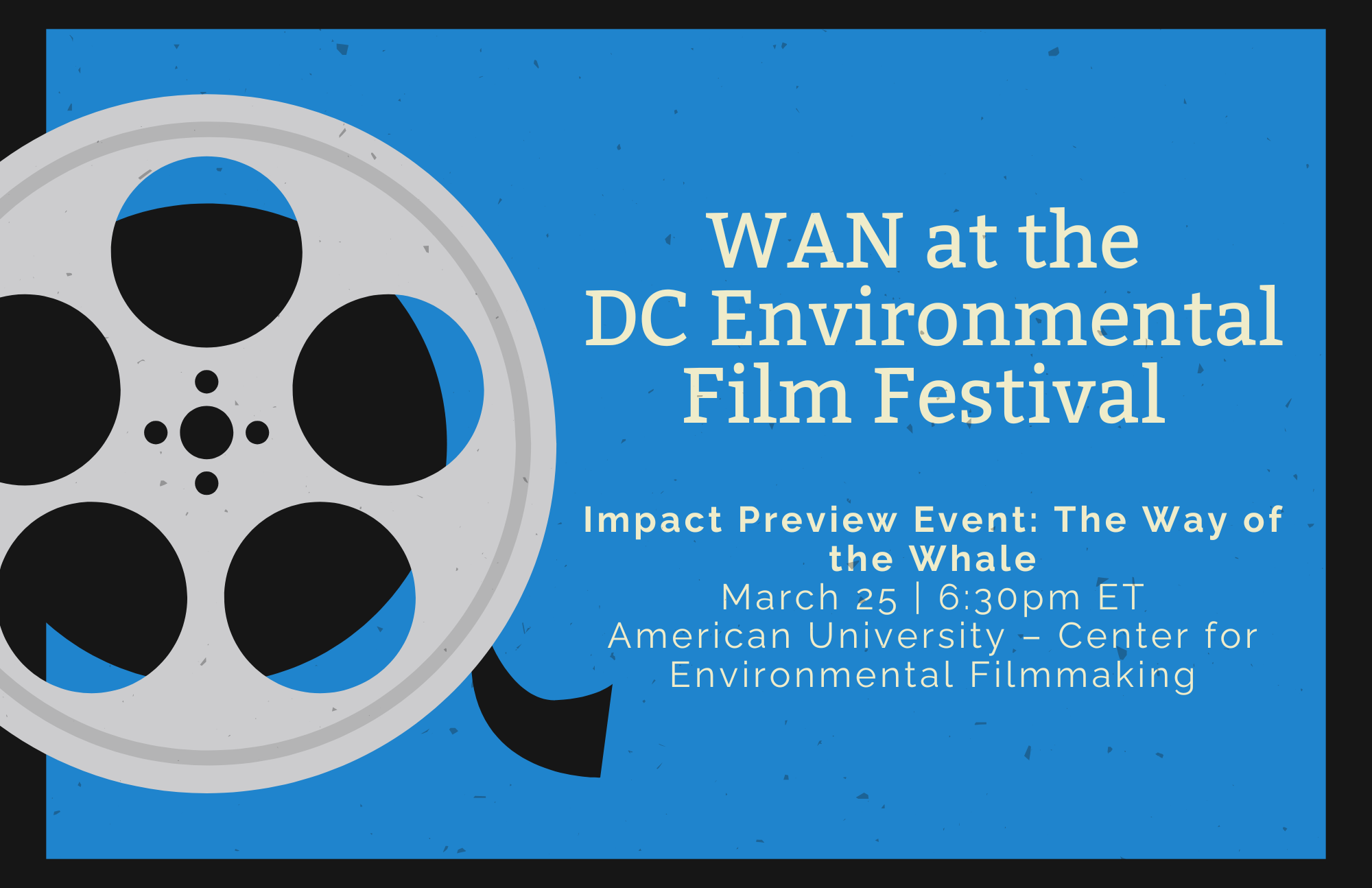 WAN at the 2026 DC Environmental Film Festival | Impact Preview Event: The Way of the Whale