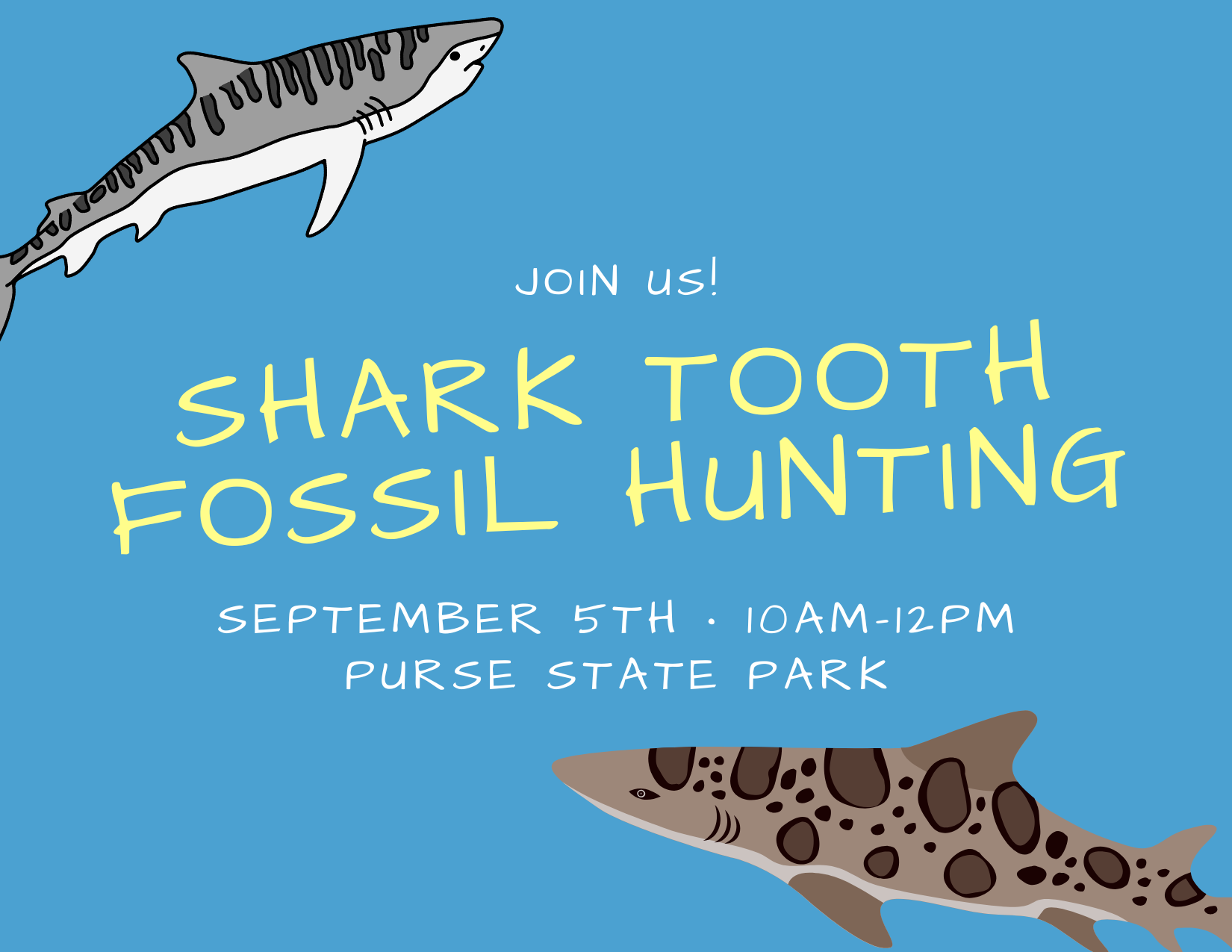 Shark Tooth Fossil Hunting