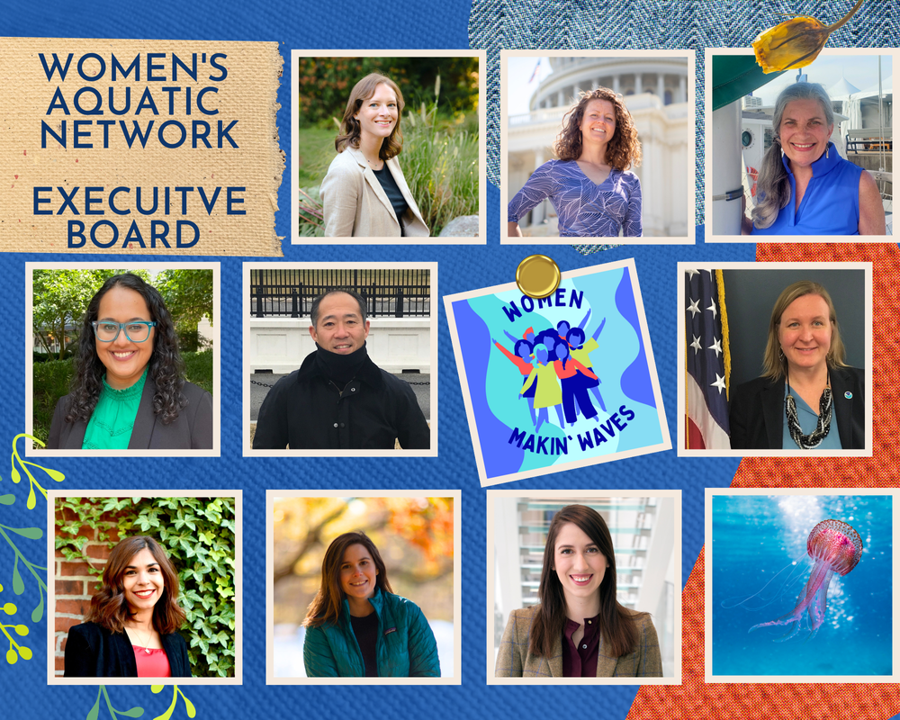 Meet Our Board — Women's Aquatic Network