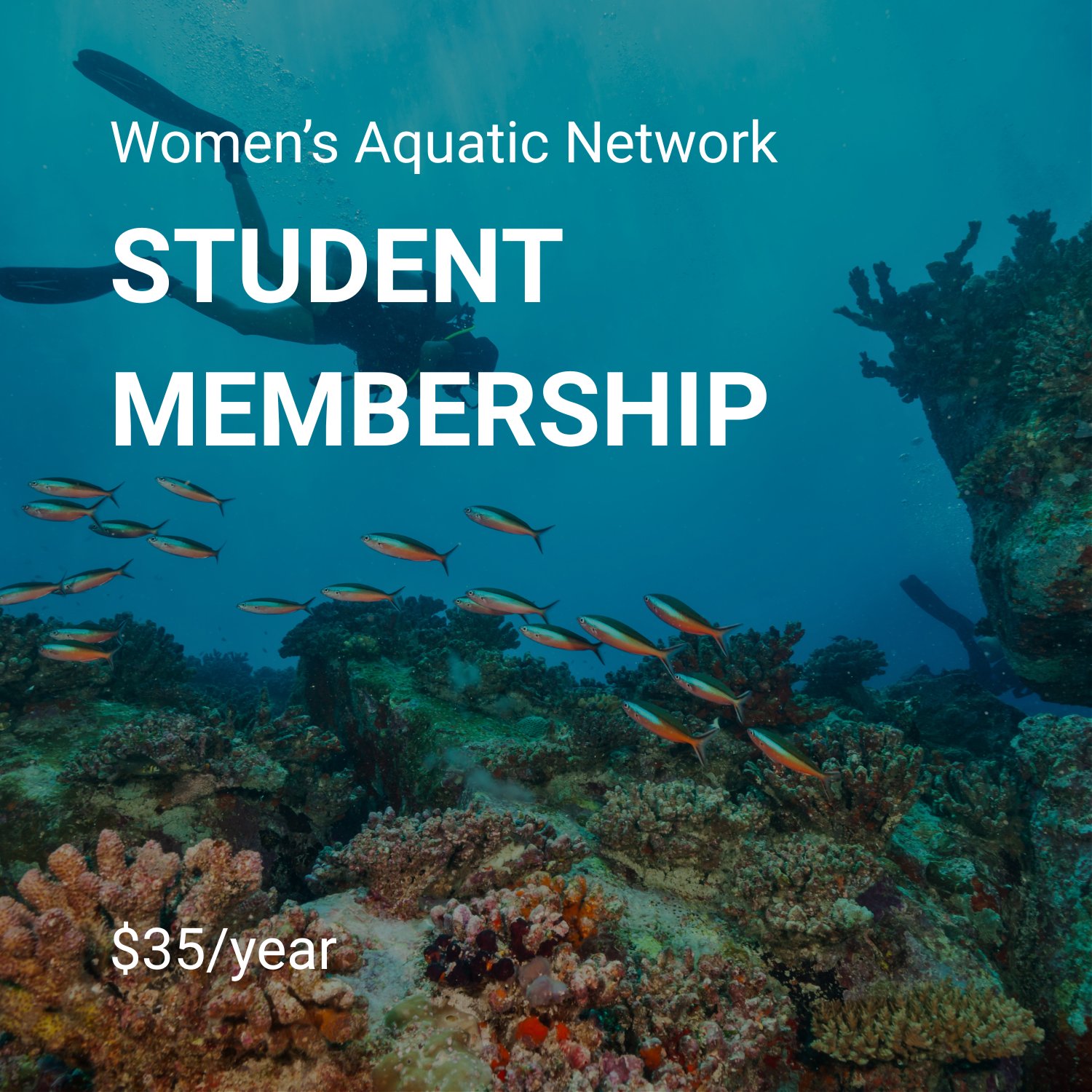 2026 Student Membership