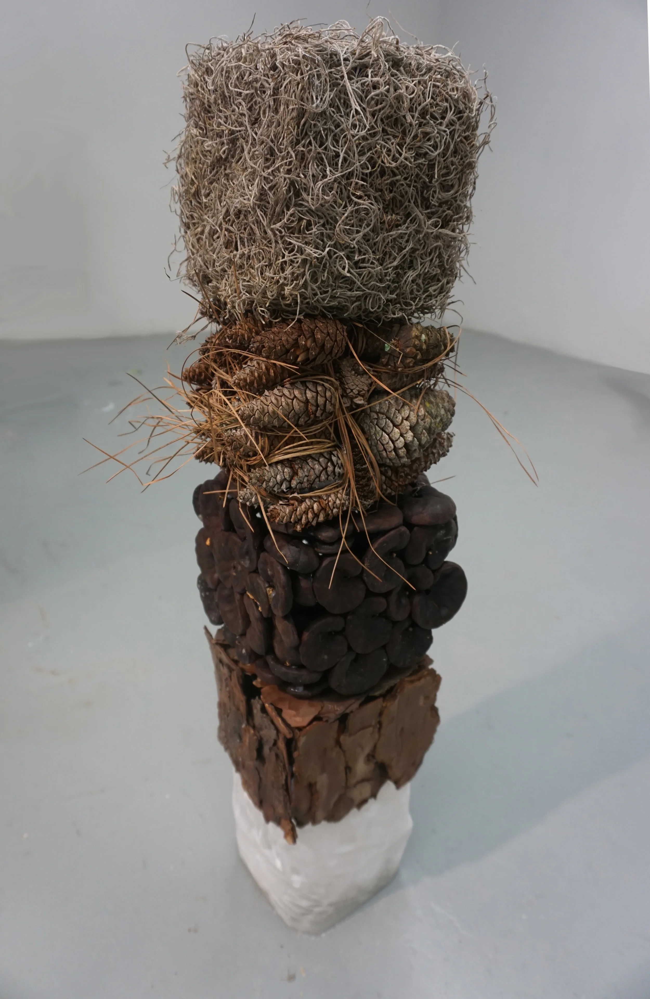 Shaping Space and Form, 2018 Spring