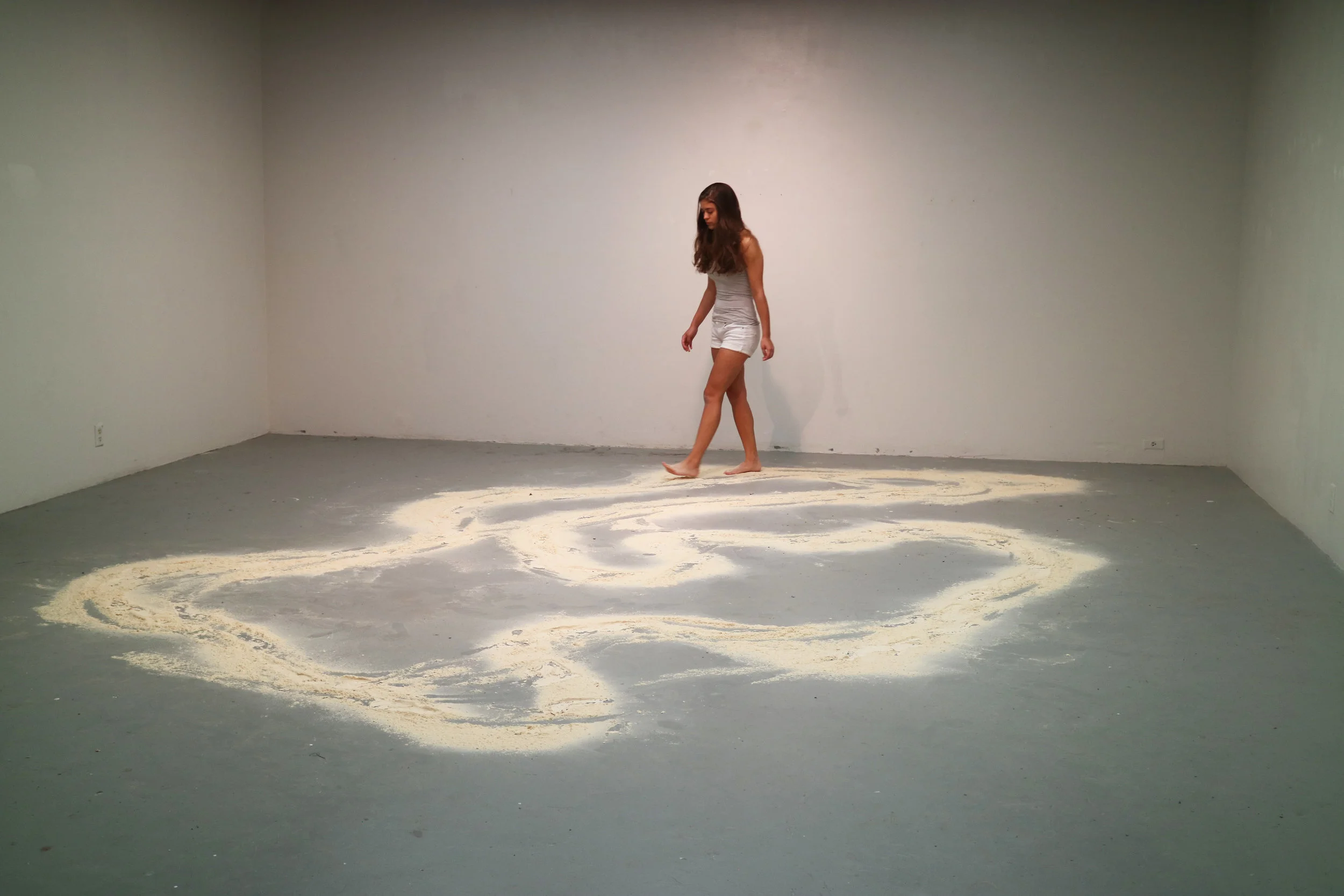 Shaping Space and Form 2017 Spring Semester