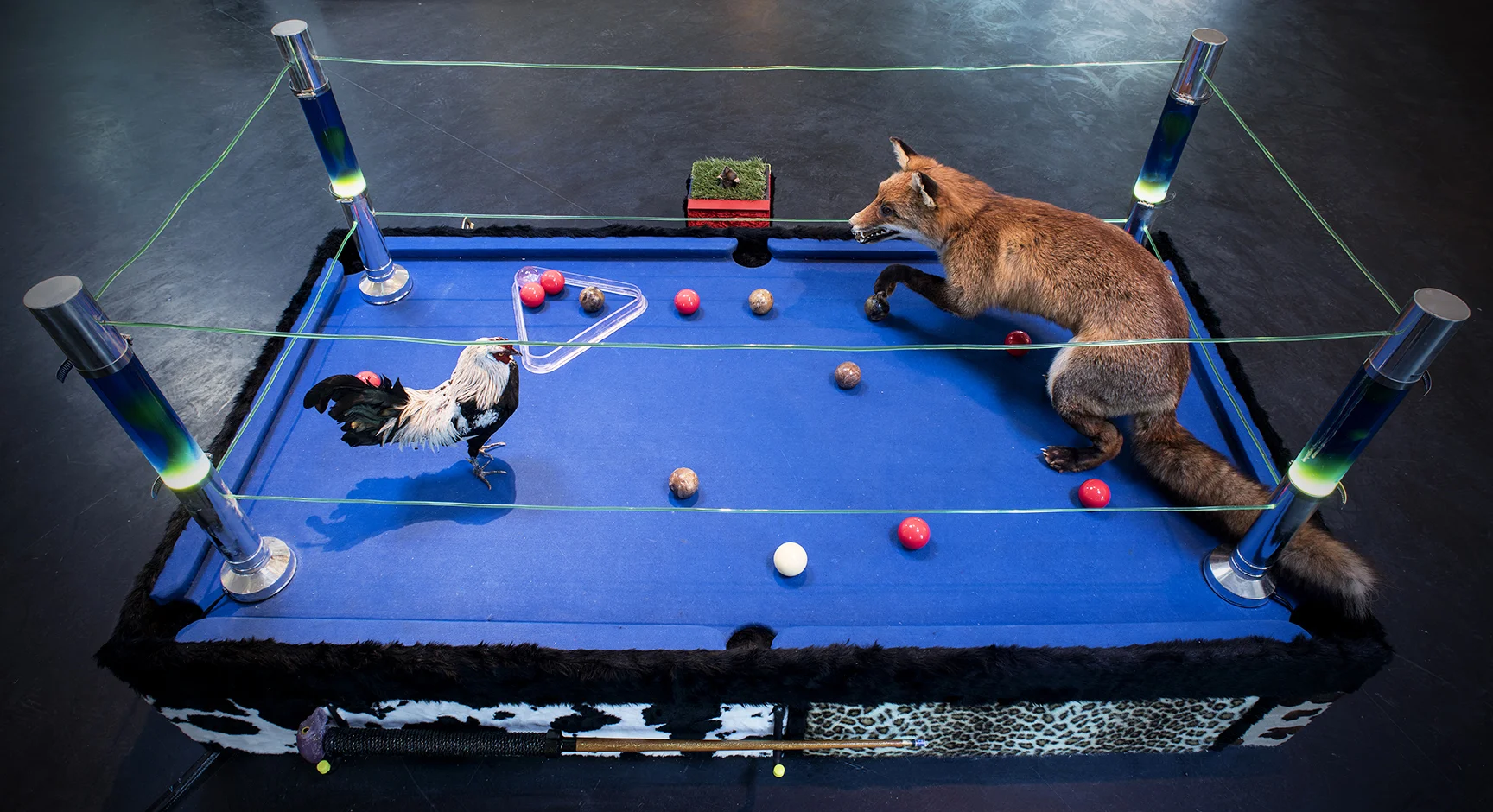 I'm foxing, beating my cock all day.jpg