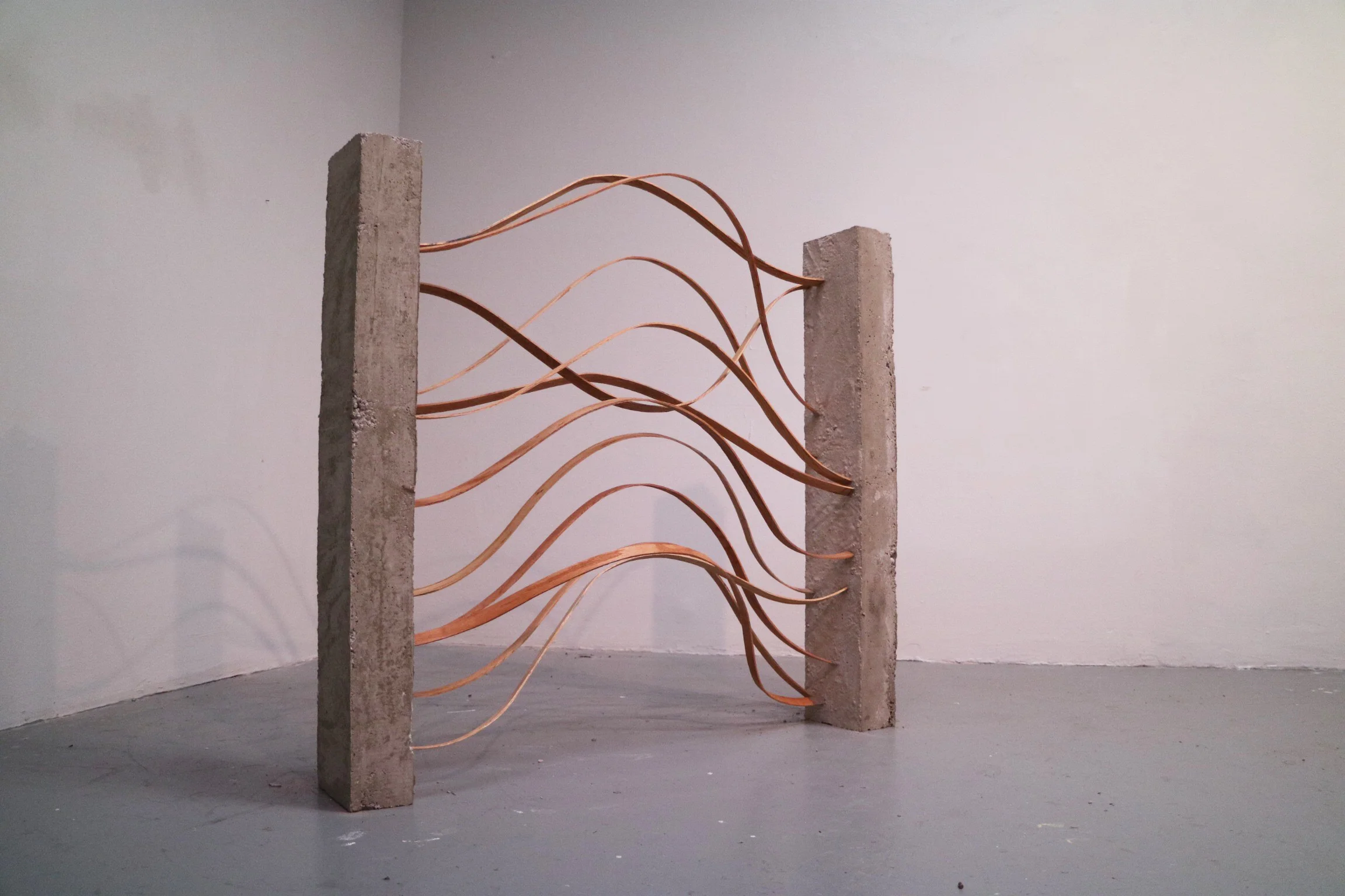  Shaping Space and Form 2019 Spring Semester