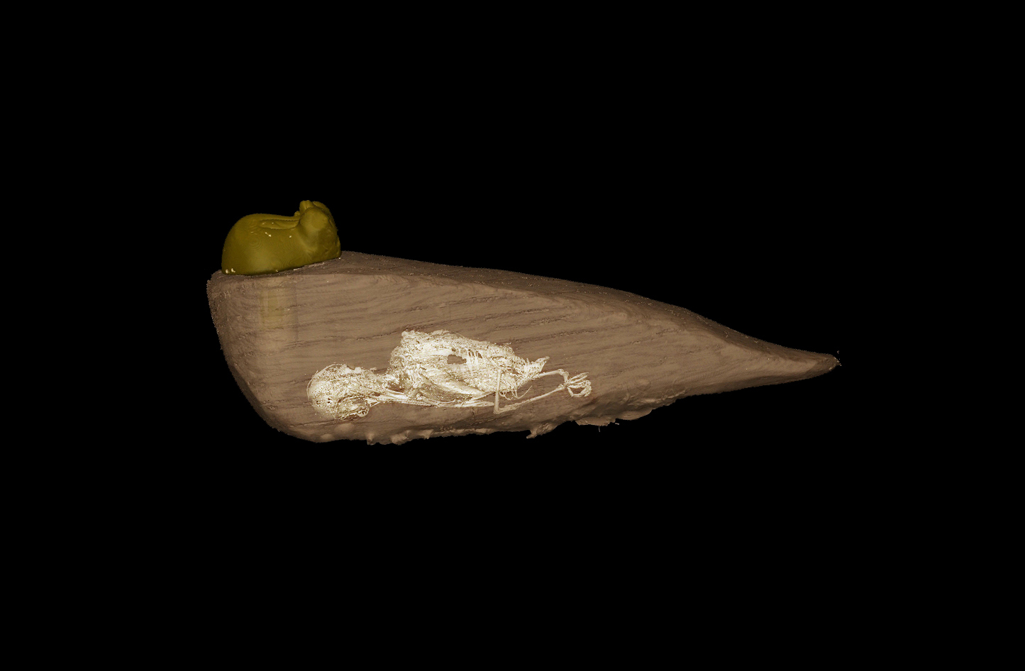 Small Wood IM ROI-CT imp 1.jpg