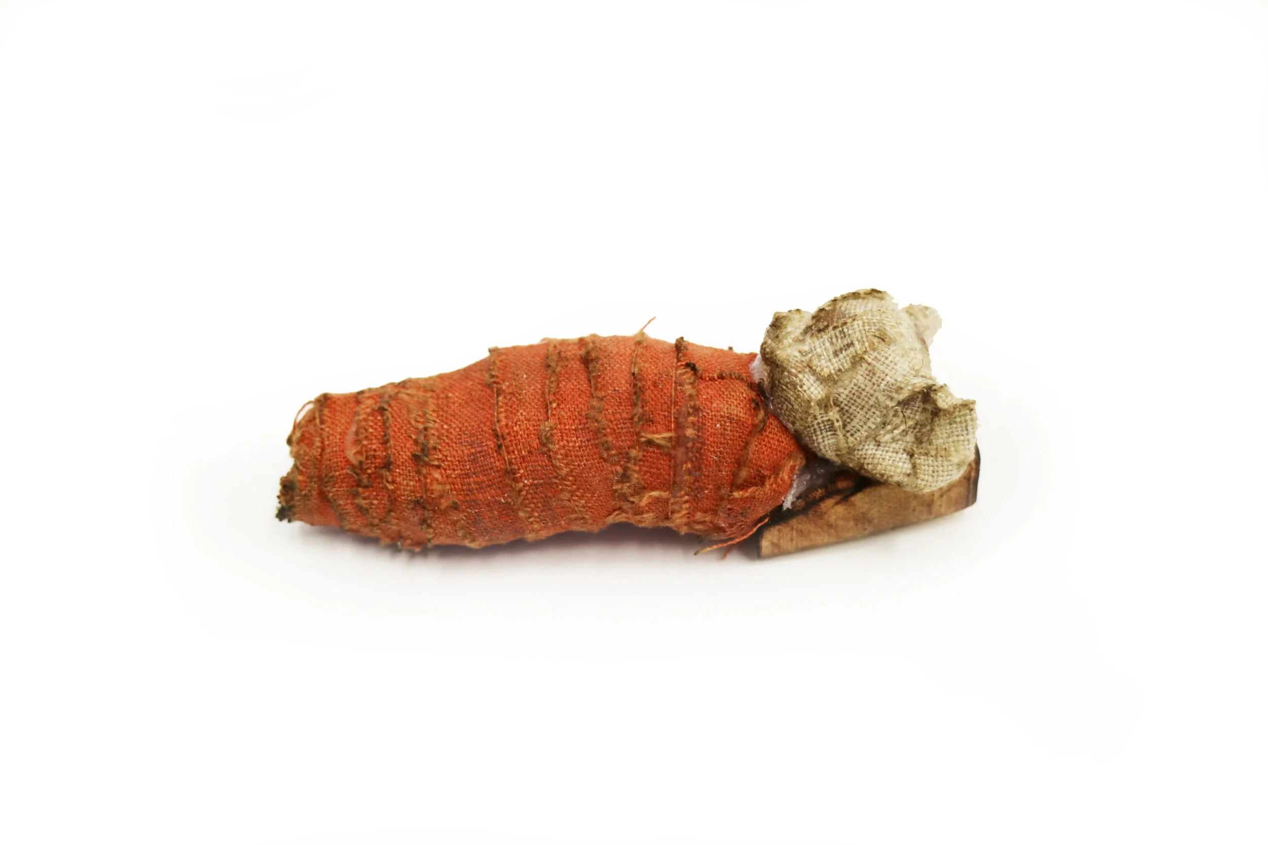 Jerry Just as small birds, mice were among the smallest buried animals in the land. This style of mummification on small scale has stopped around the roman period. Roman Period, 30 B.C.E. - 100 C.E. 4 x 1 x 1 in.