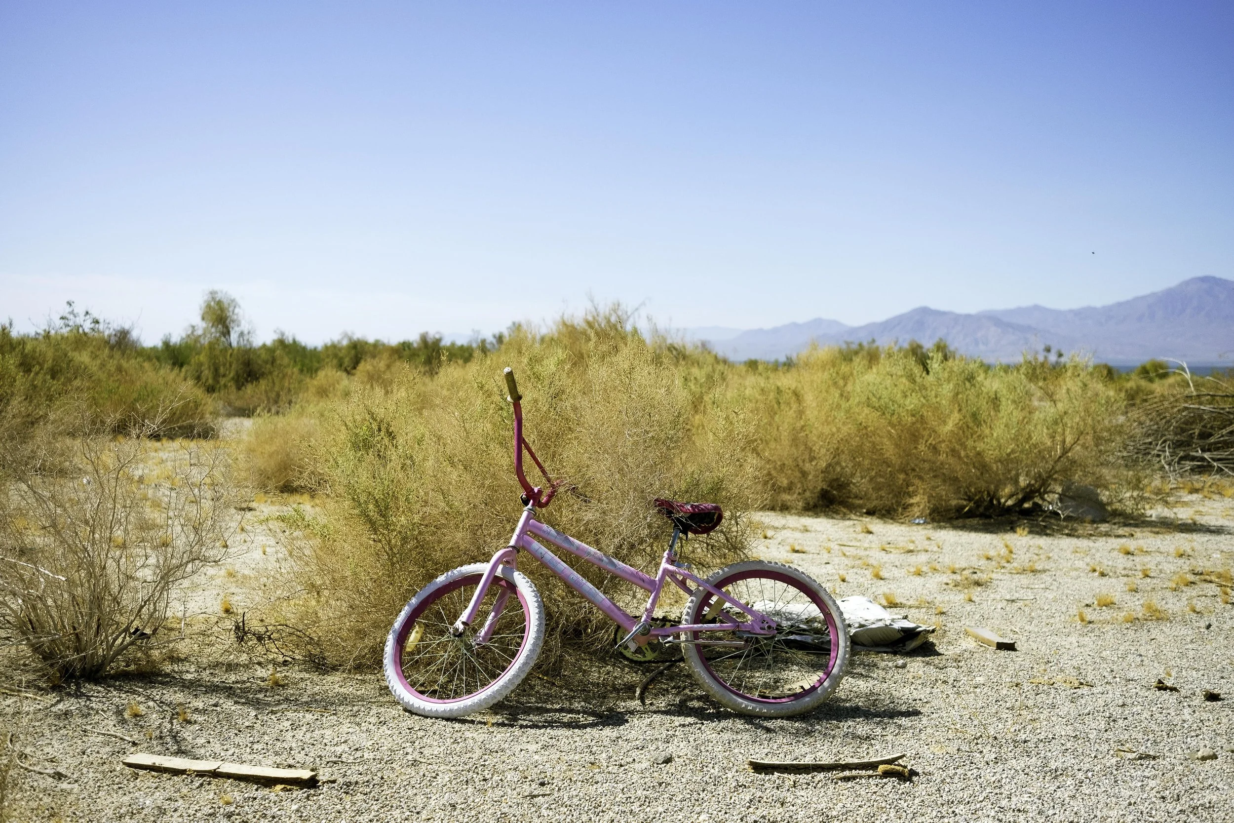 William Greiner New 2