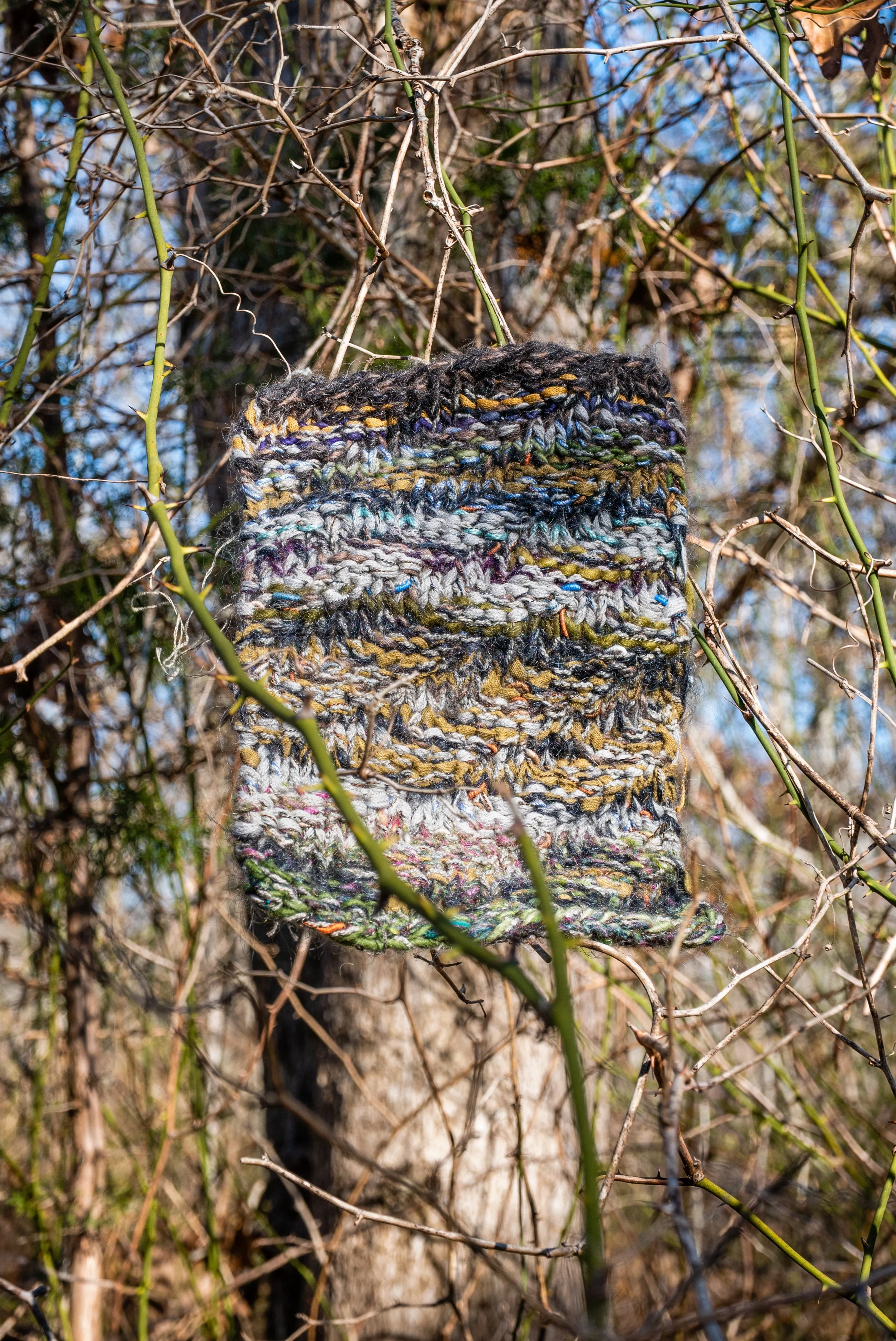 D4 LambrechtNew03Woolly Woods_BlueSky2026.jpg
