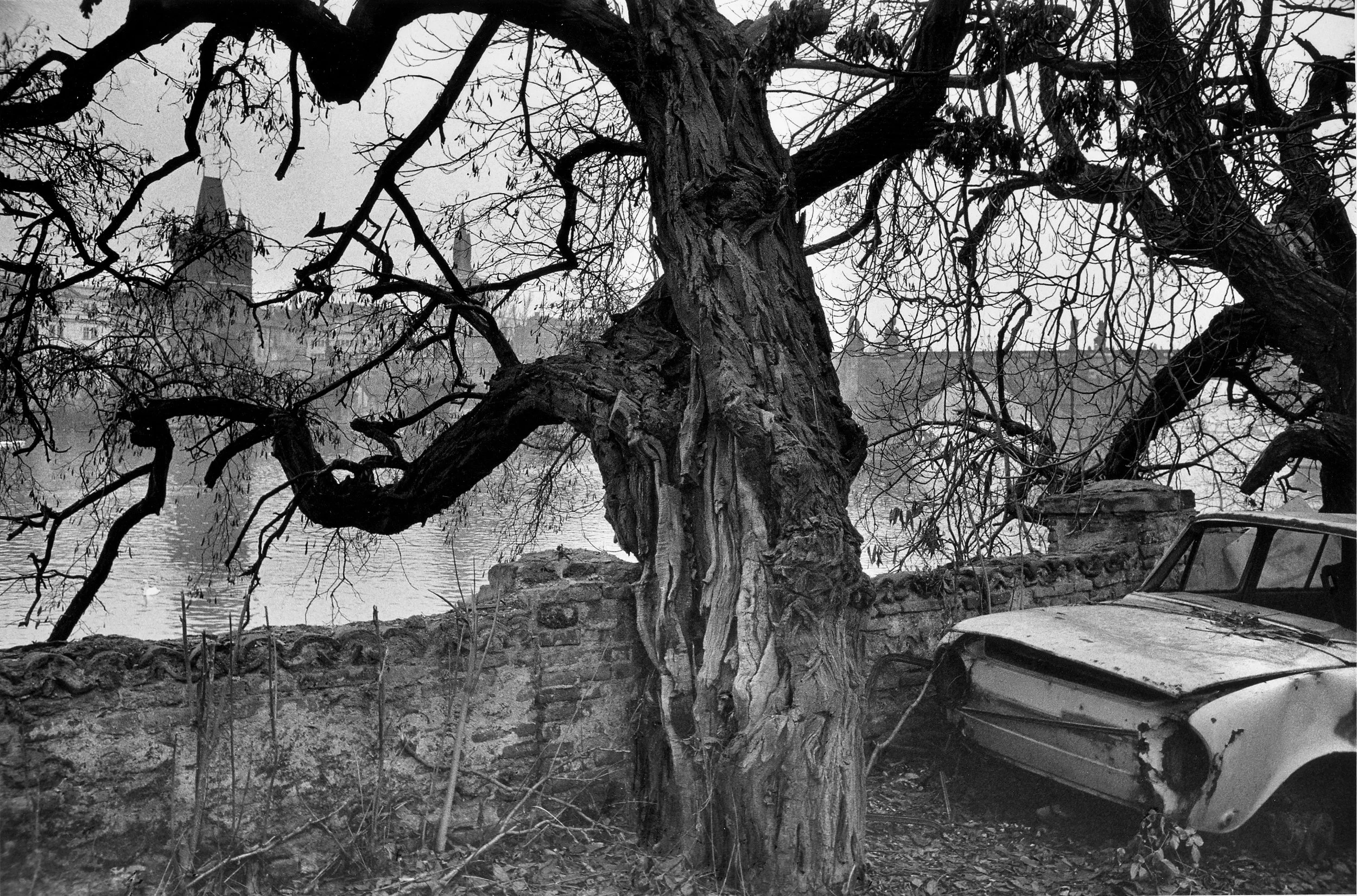 Viktor Kolar Original 1