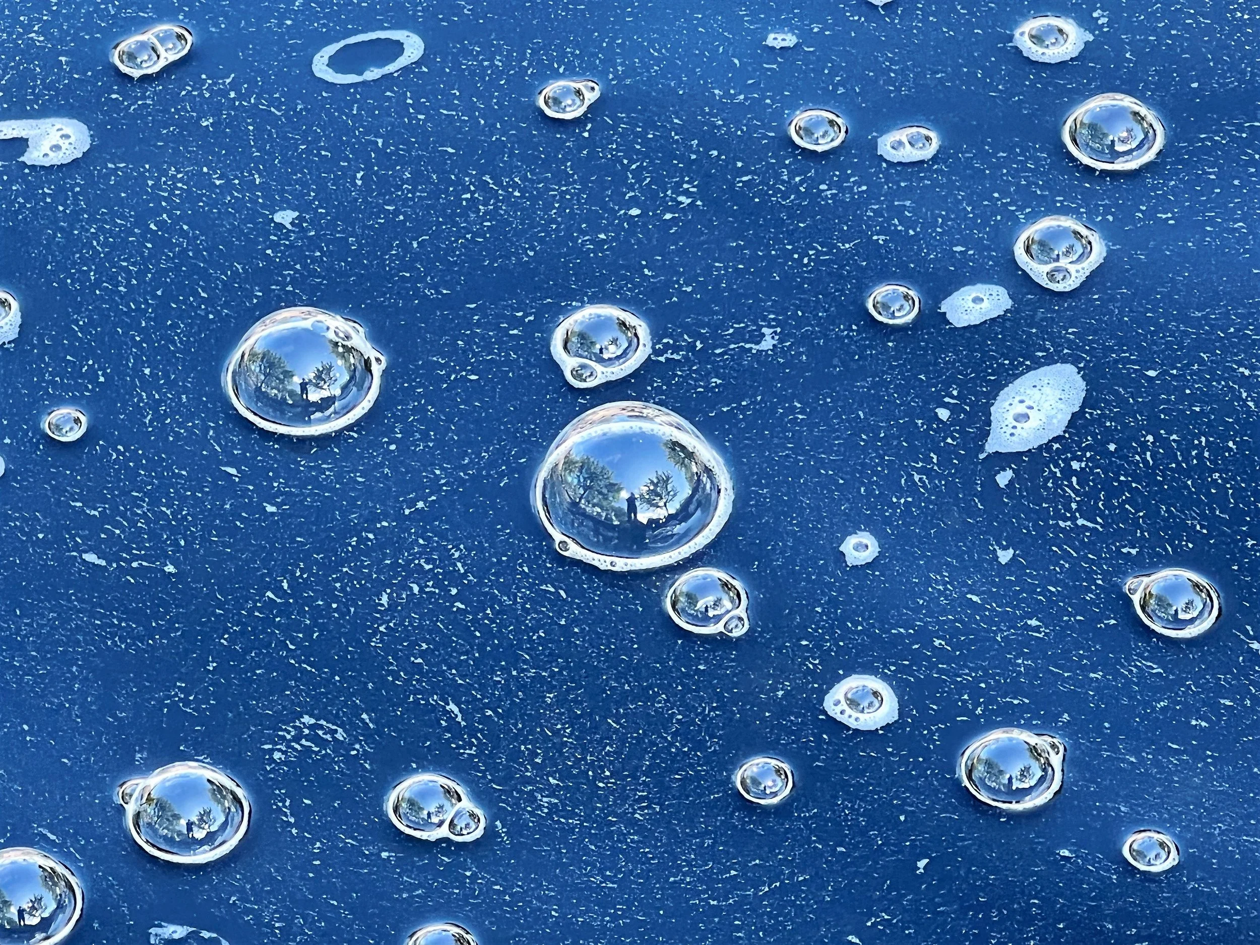 Copy of Ampersand_Kate_MarineSelfie - Kate Ampersand.JPG