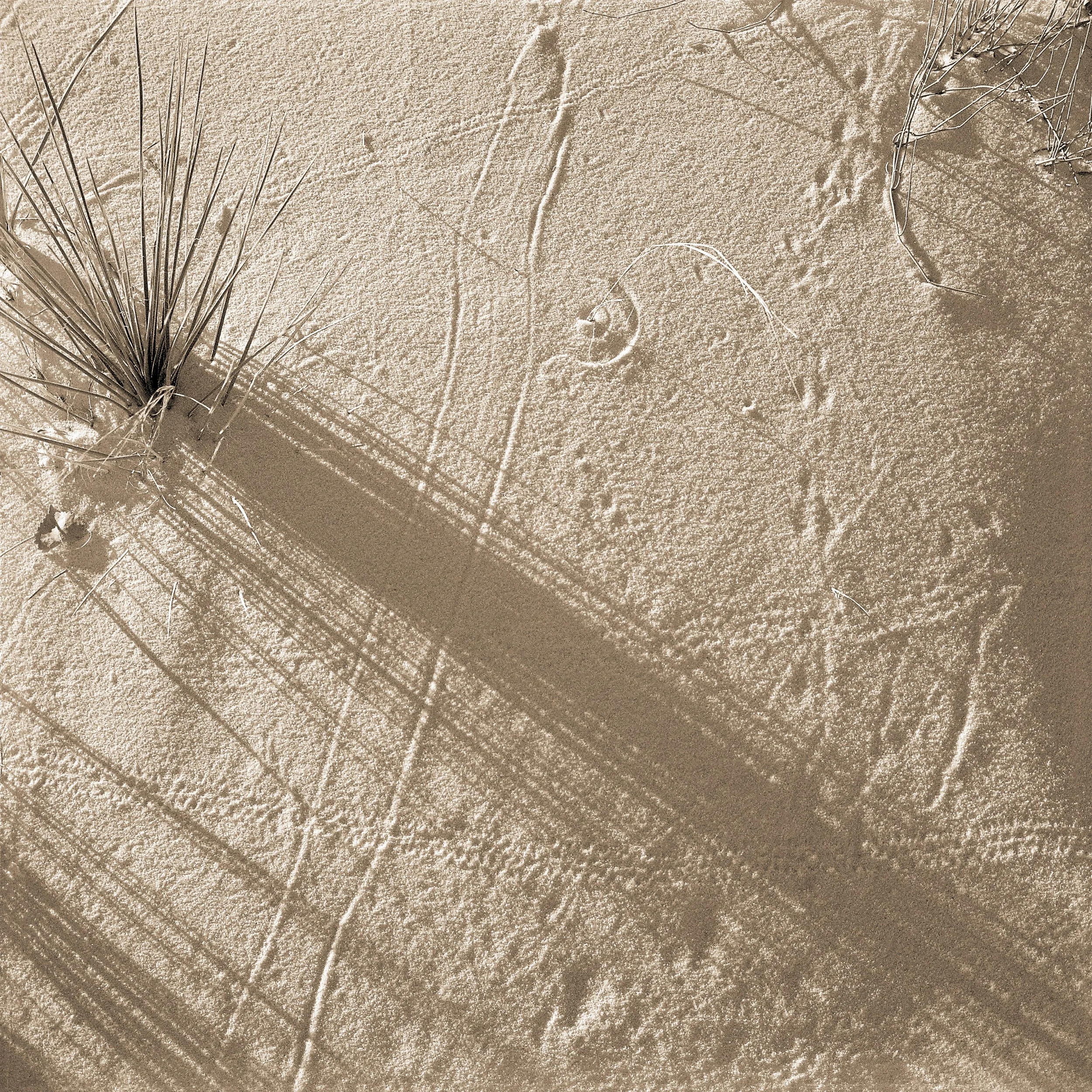 D3BairdNew01 Darryl Baird.jpg