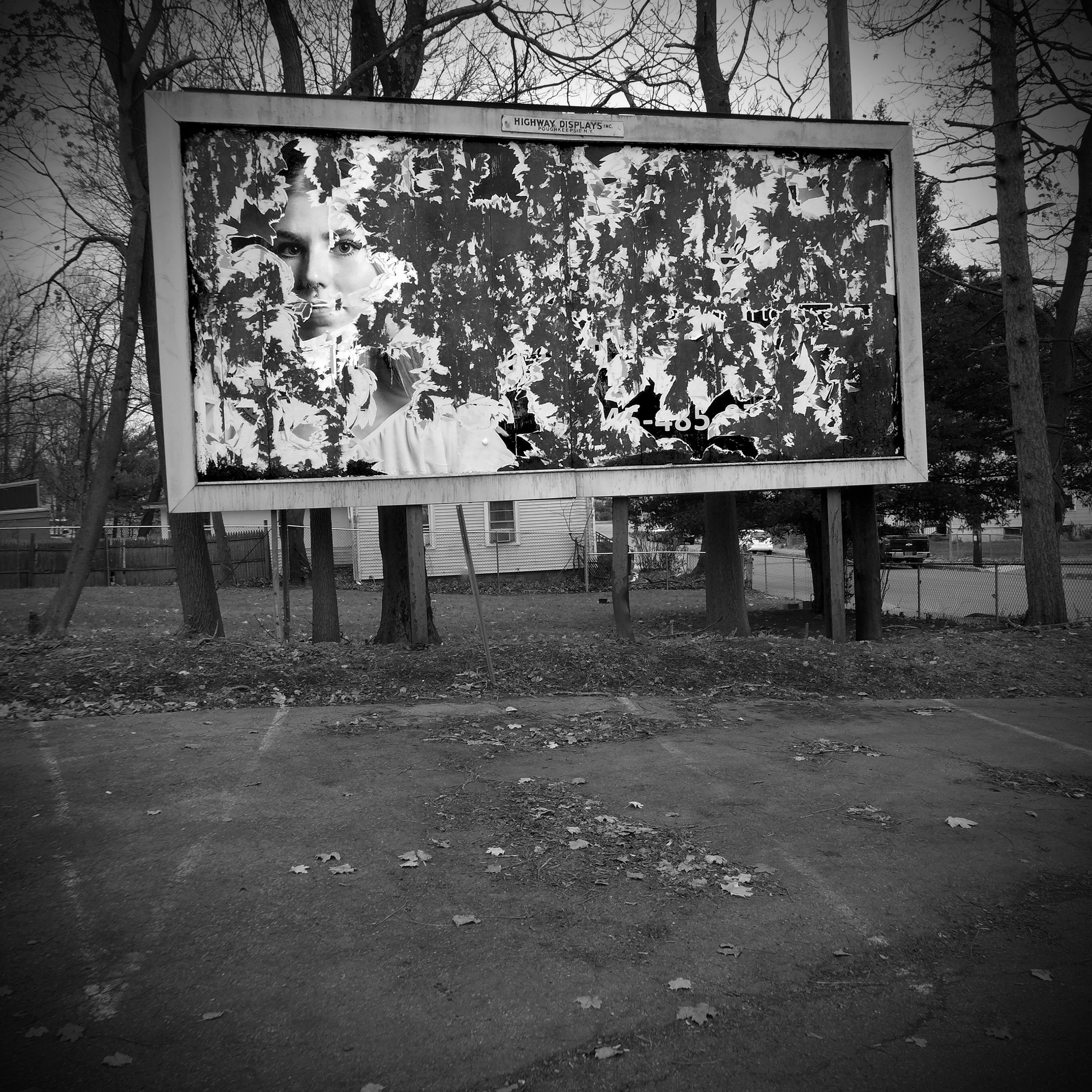 D5_JulieMihaly_Niow_02_BillboardWFace.jpg