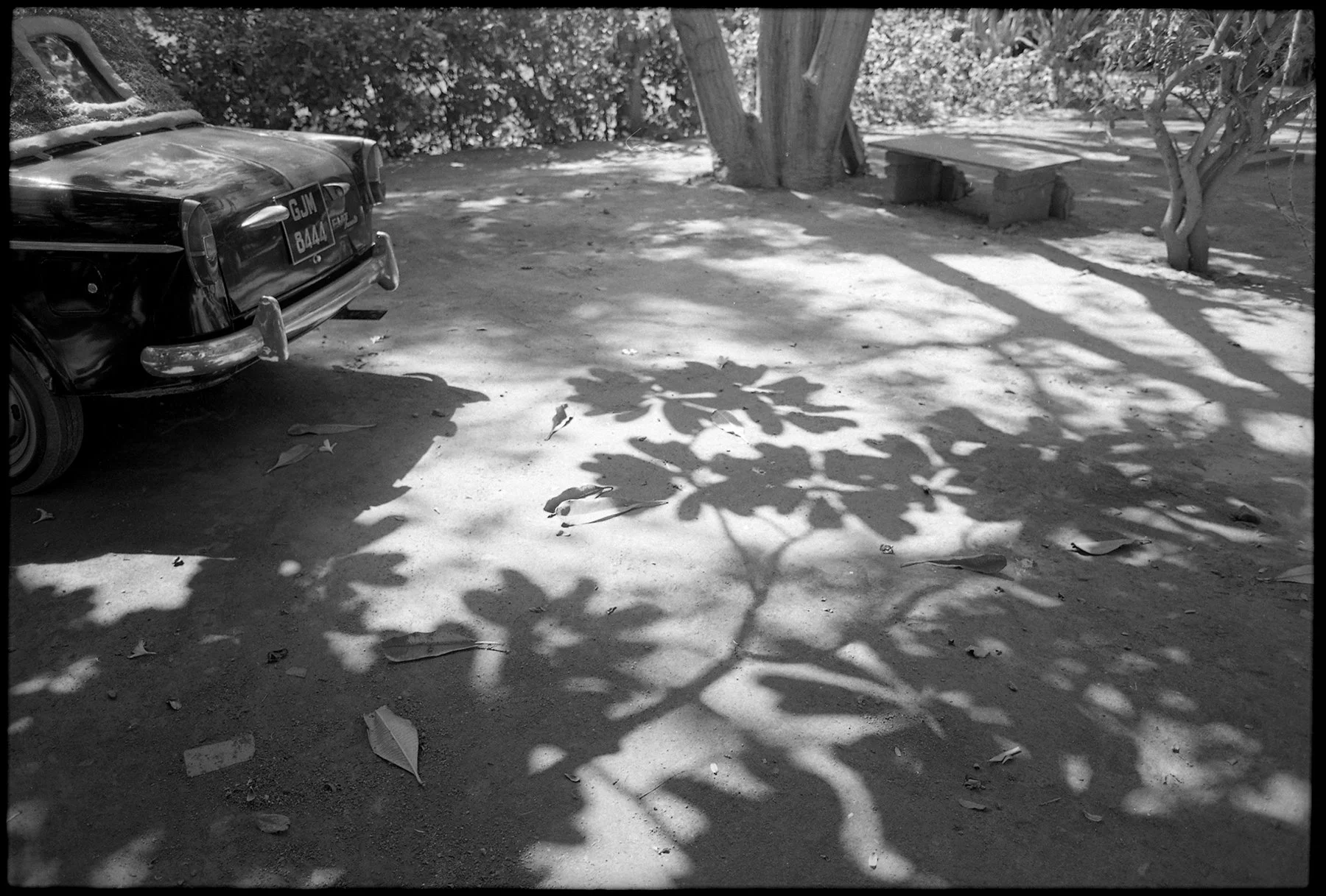 D1ChristopherRauschenbergOrig02_75SP.22 copy Blue Sky Gallery.jpg