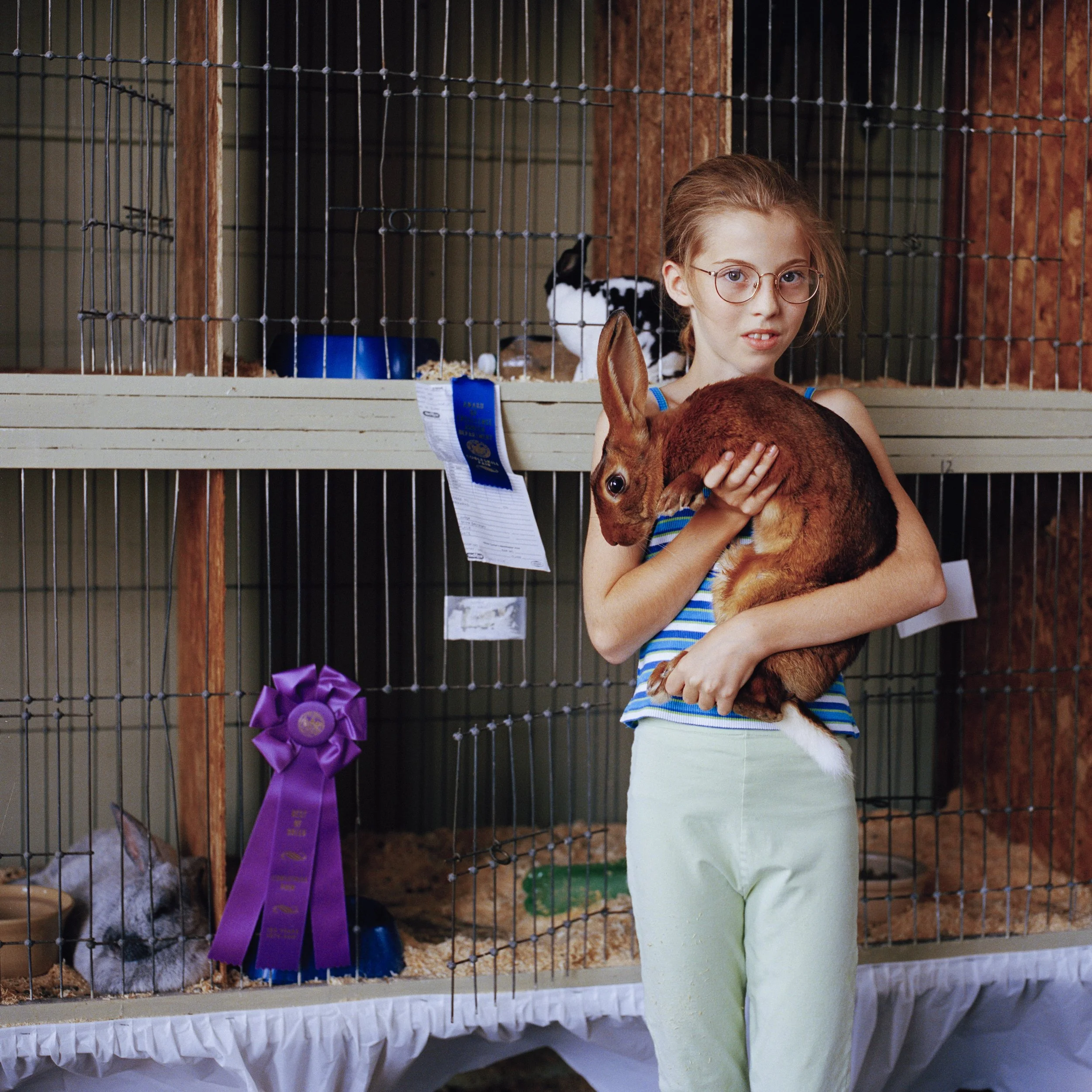 Dan Nelken Original 2