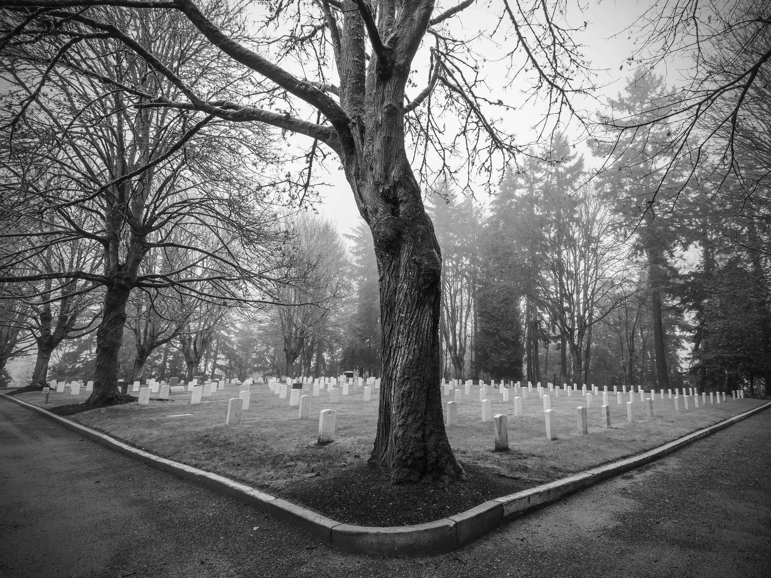 D4WadleyNew02_DECEMBER 7TH 2021 - THE DARK SEASON Preston Wadley.jpeg