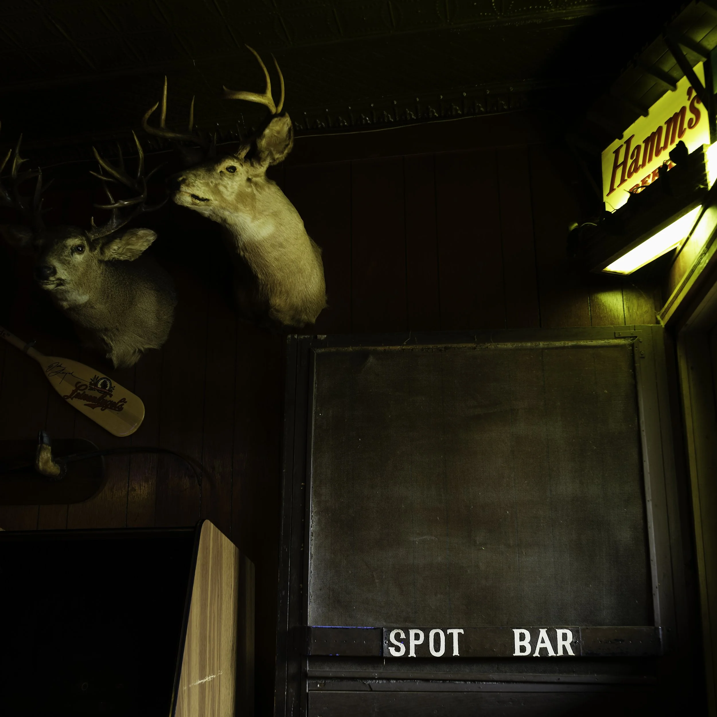 Carl Corey Original 2