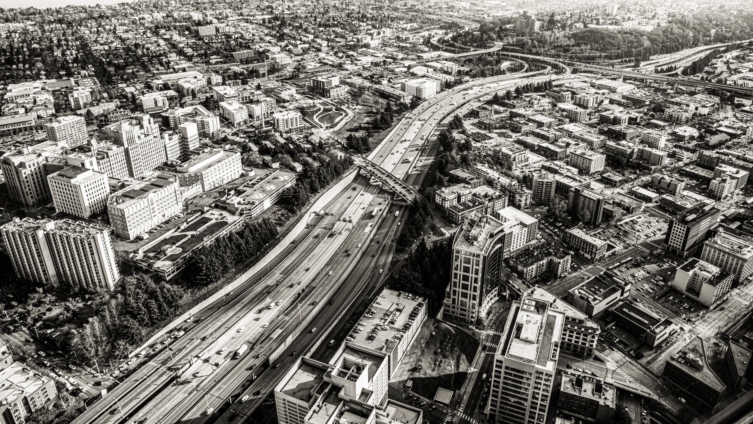 Copy of View - slugcity.jpg