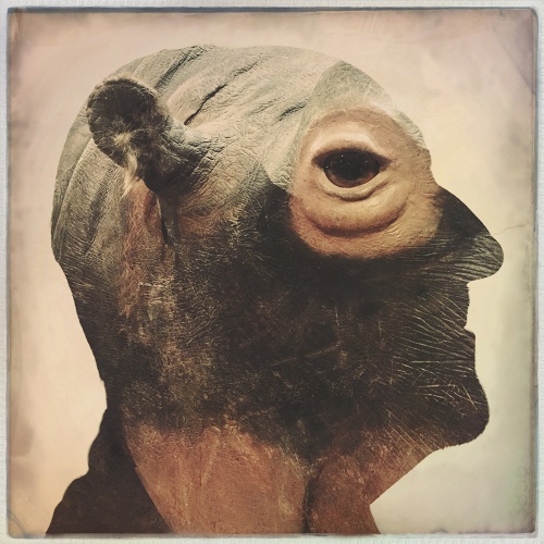 image © Susan Bein